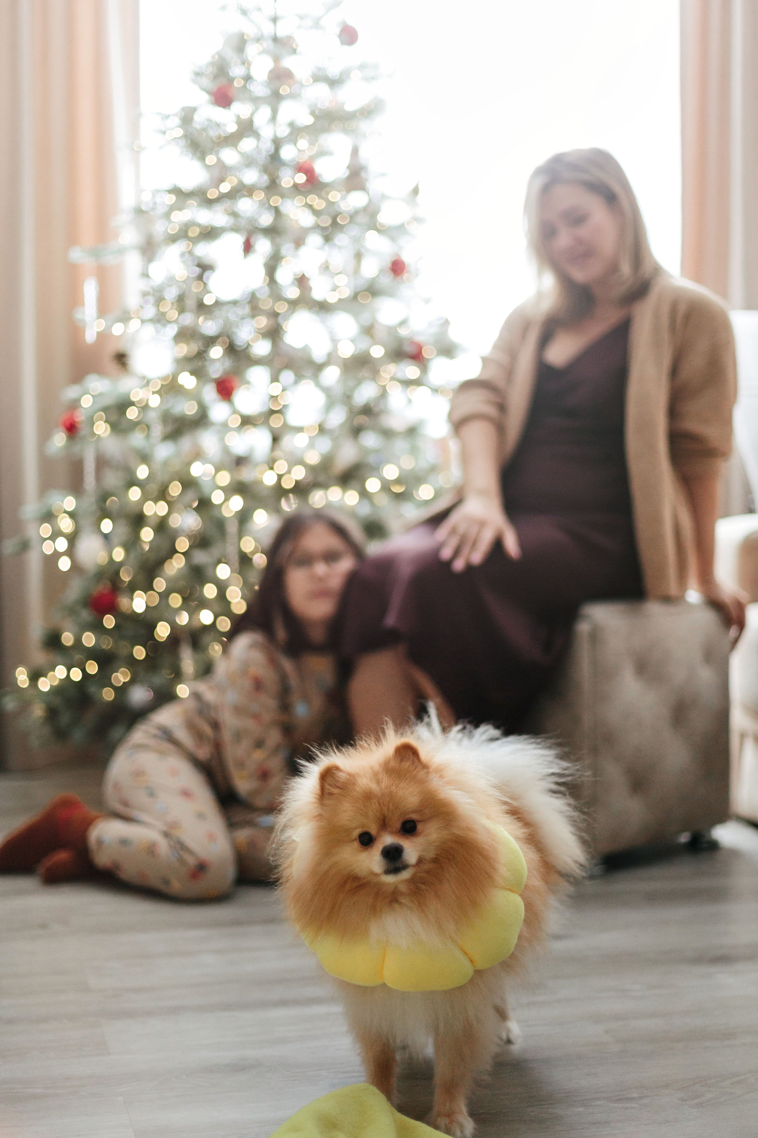 Домашняя съемка Маша и девочки. Детский и семейный фотограф в Москве Татьяна Козлова