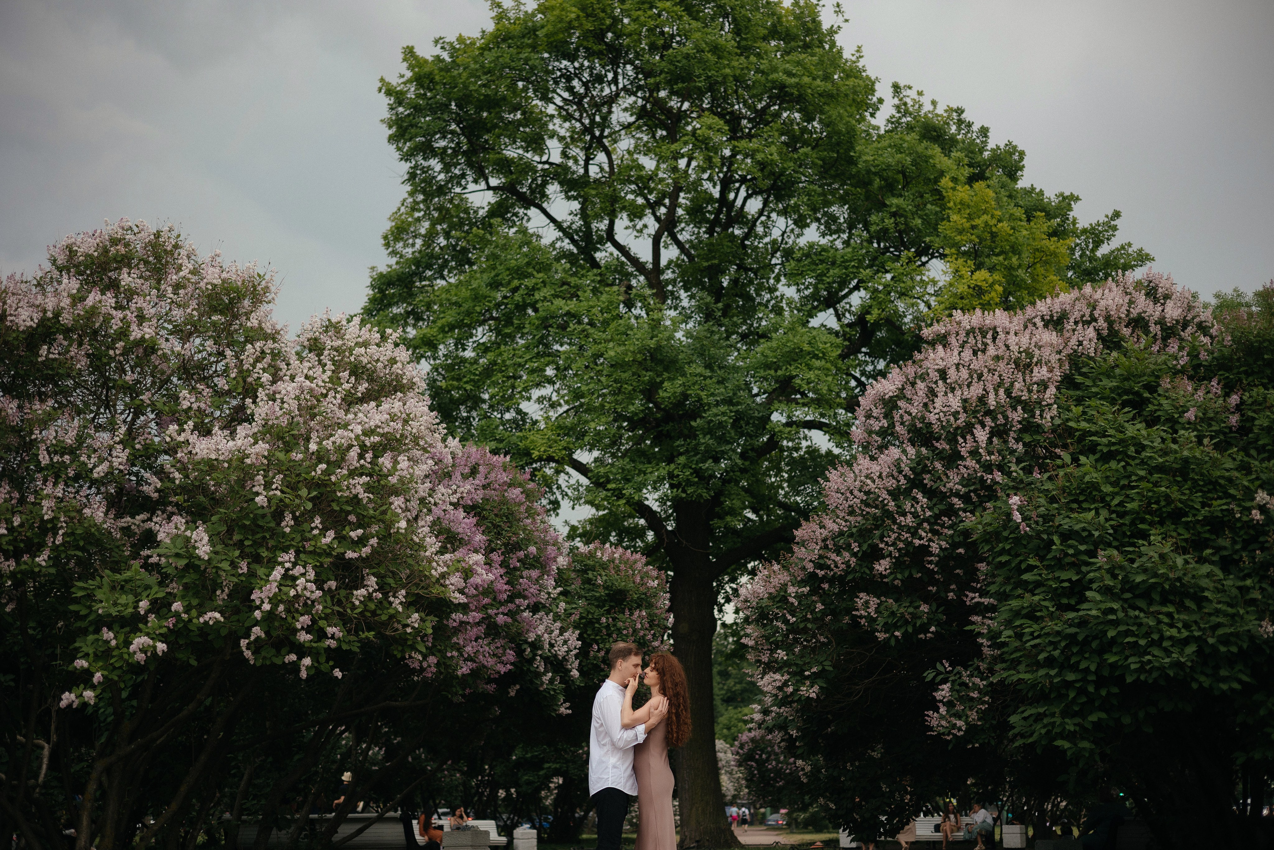 Александр & Алёна. ФОТОГРАФ РОЗА ФИЛИНА СПб I МОСКВА