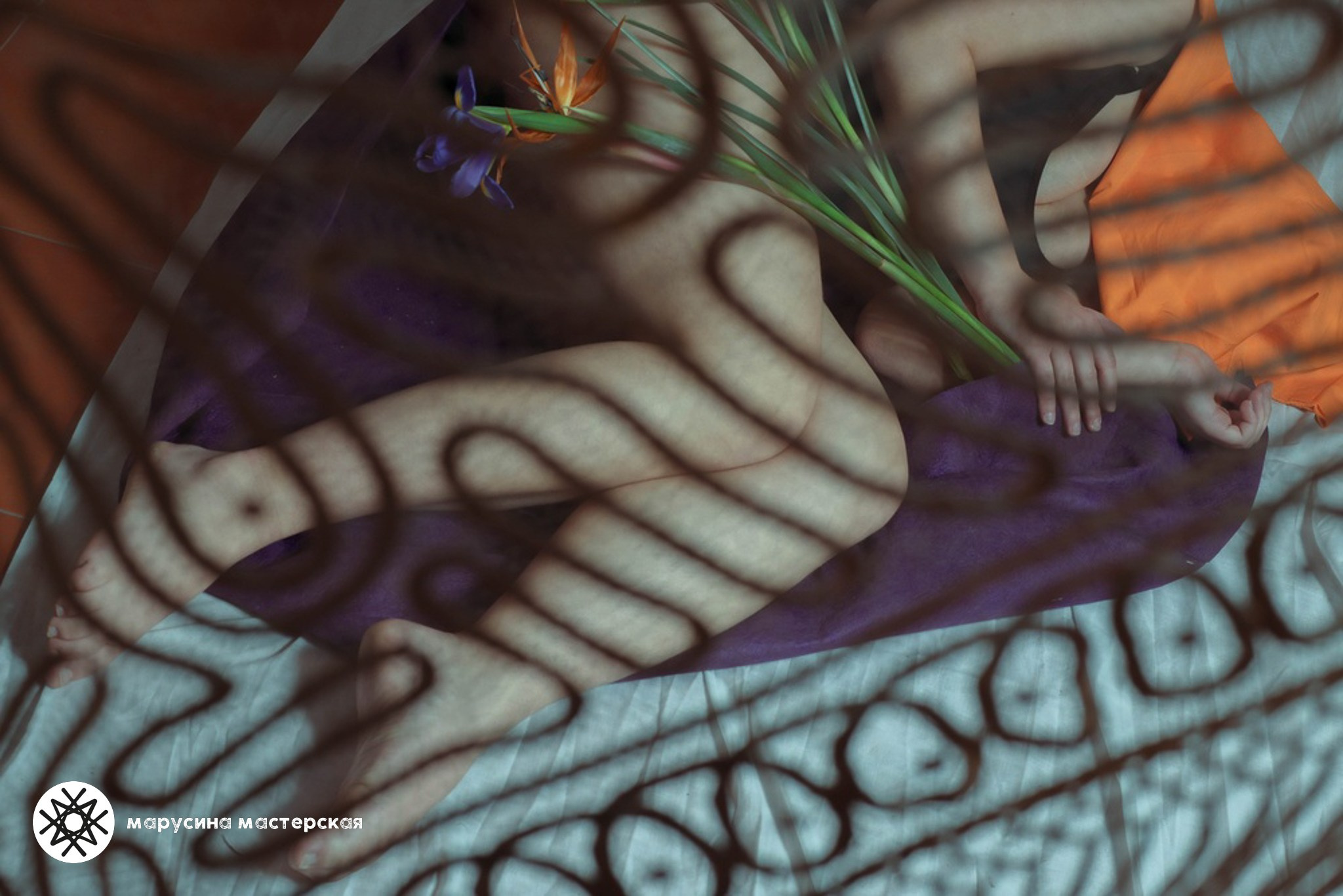 Творческая фотография, снятая в рамках зимней творческой практики, автор — Екатерина Сербина