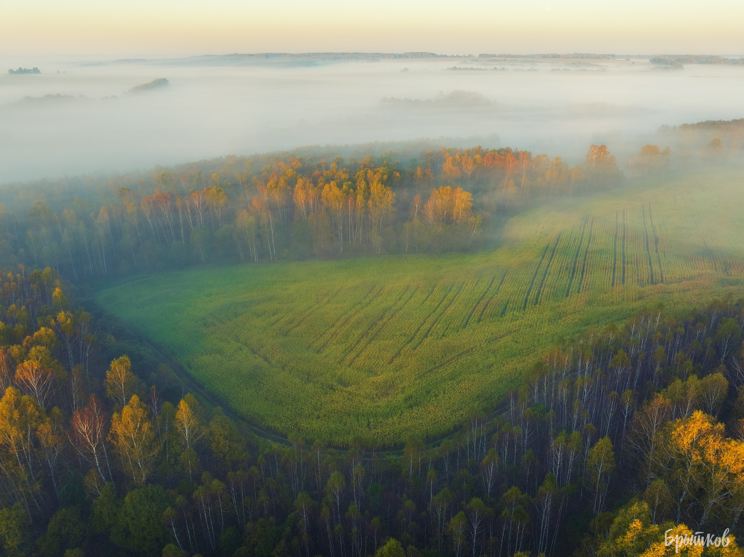 Бежин луг туман Брытков Николай