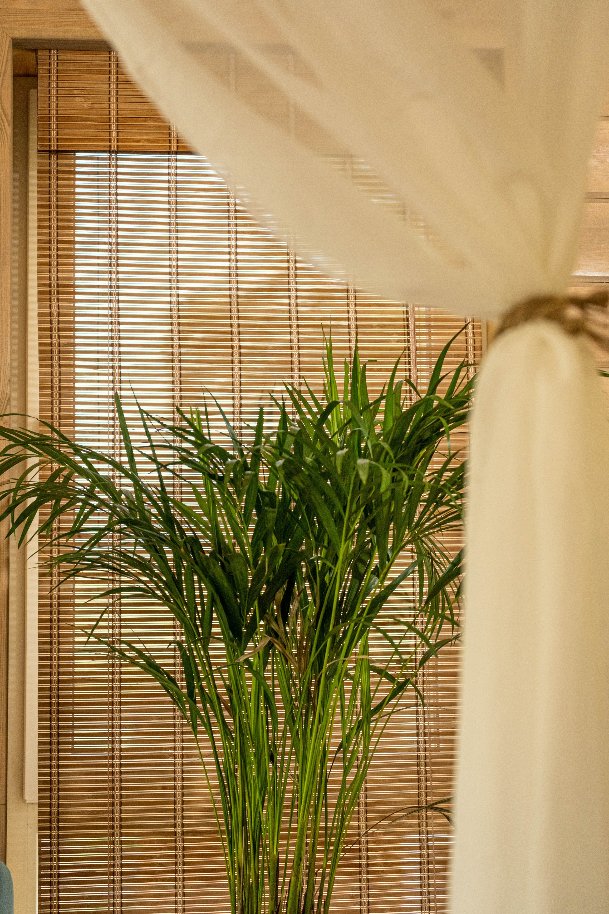 База «Алтай Бали». Фотограф |Герасимова София