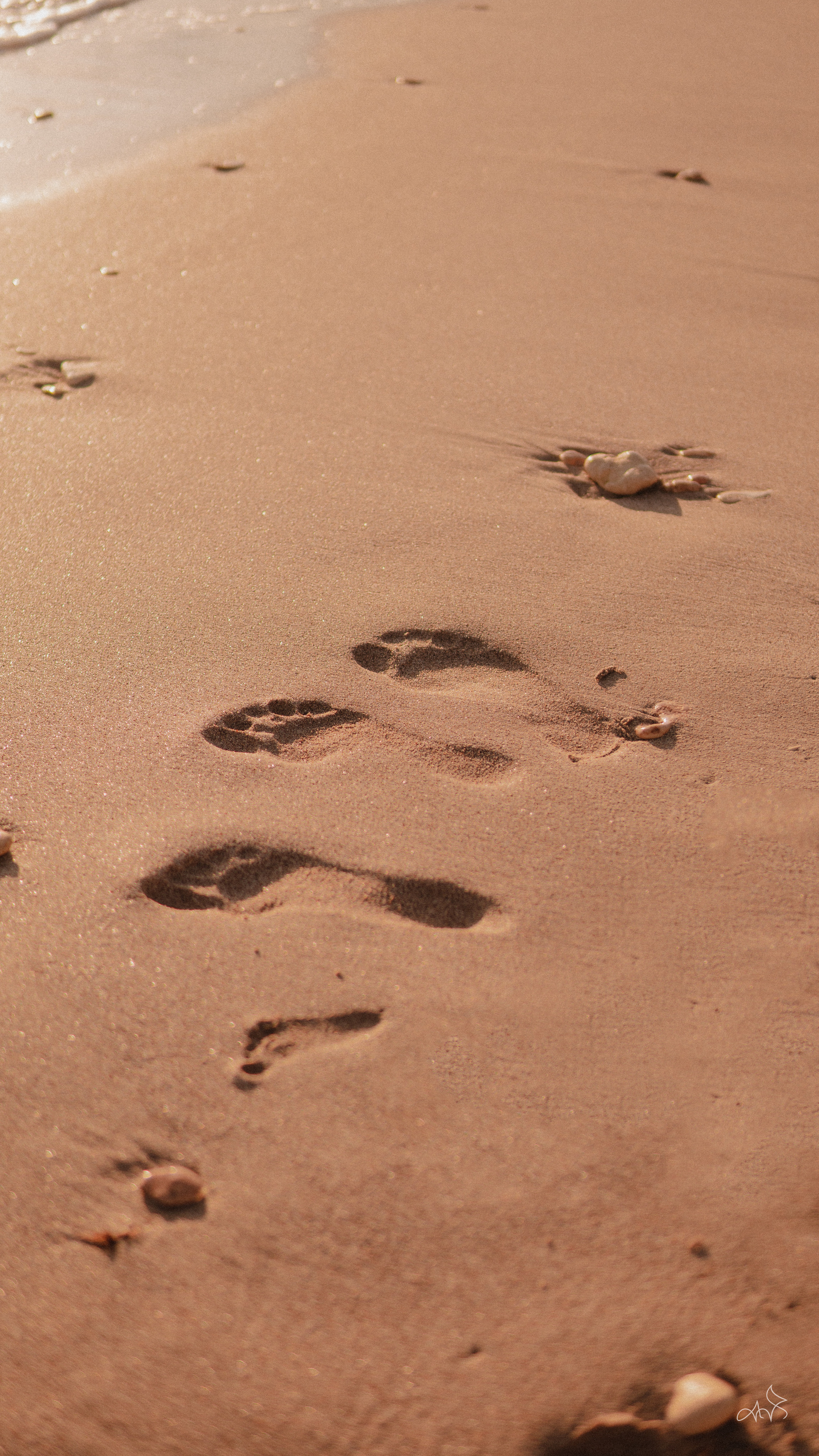 Дарья, Андрей, София и Мирослава. Портретный и свадебный фотограф в Москве Гуменюк Анастасия