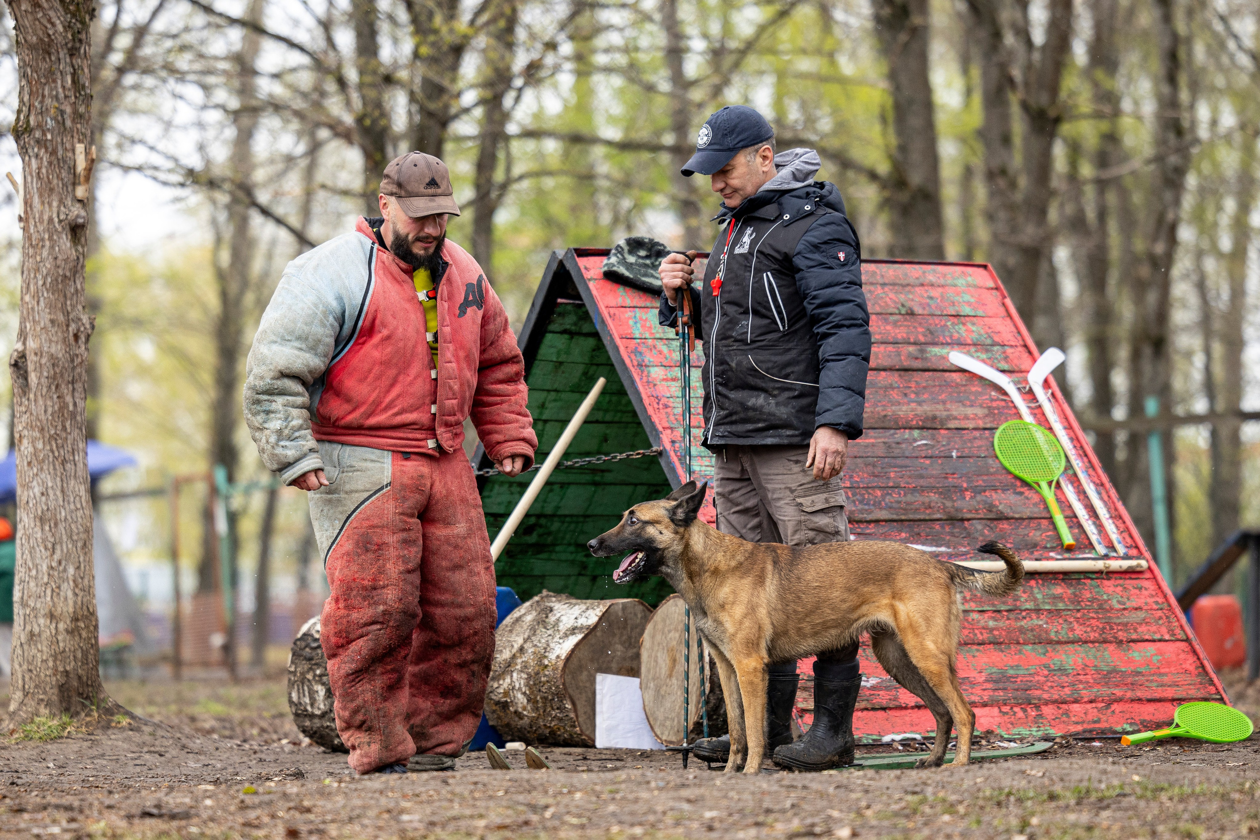 Квалификационные состязания по мондьорингу г. Вологда 11.05.24. Фотограф-анималист Анна Маринич