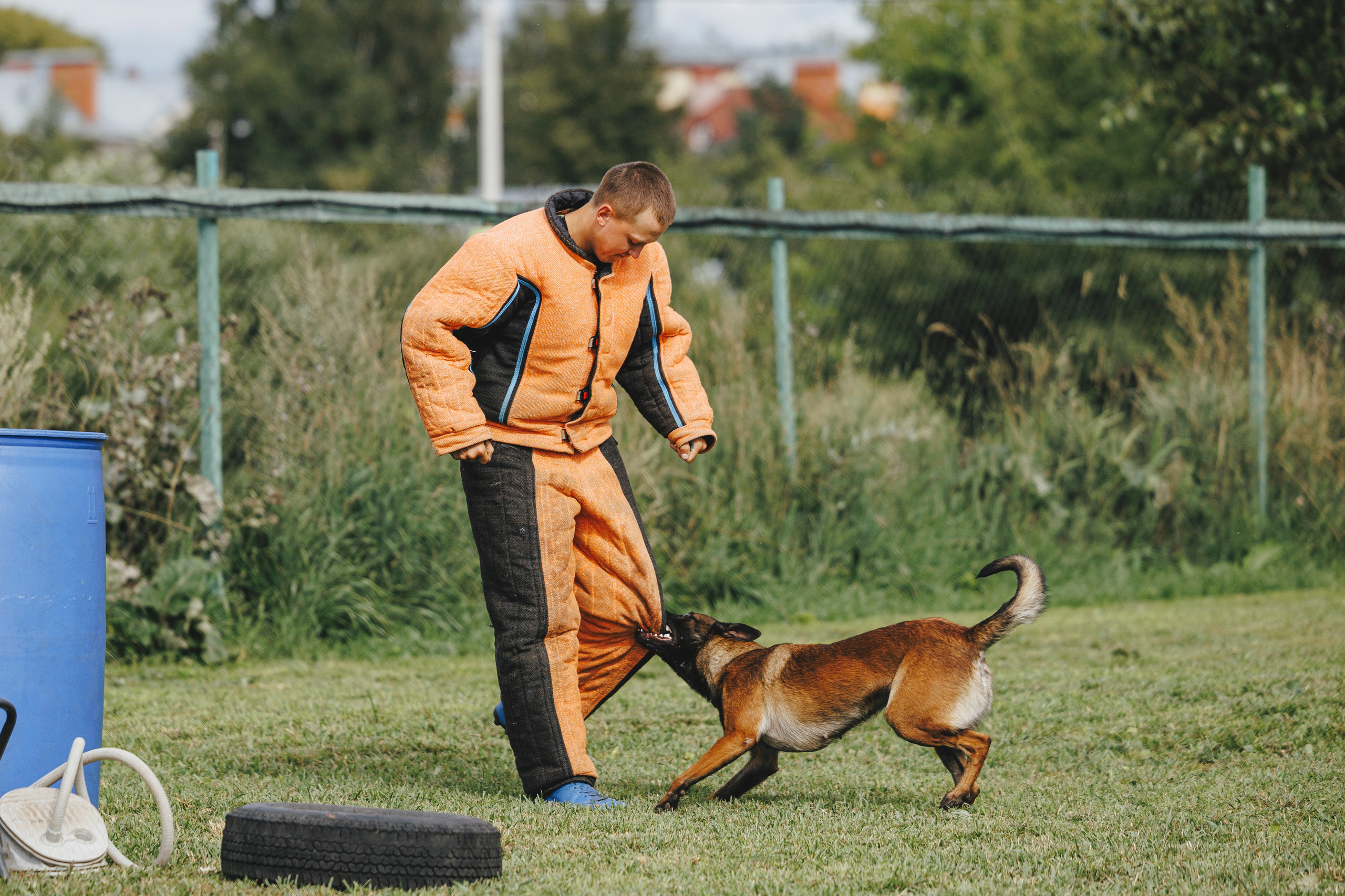 08.08.25-10.08.25 ЧР по мондьорингу г. Вологда. Фотограф-анималист Анна Маринич