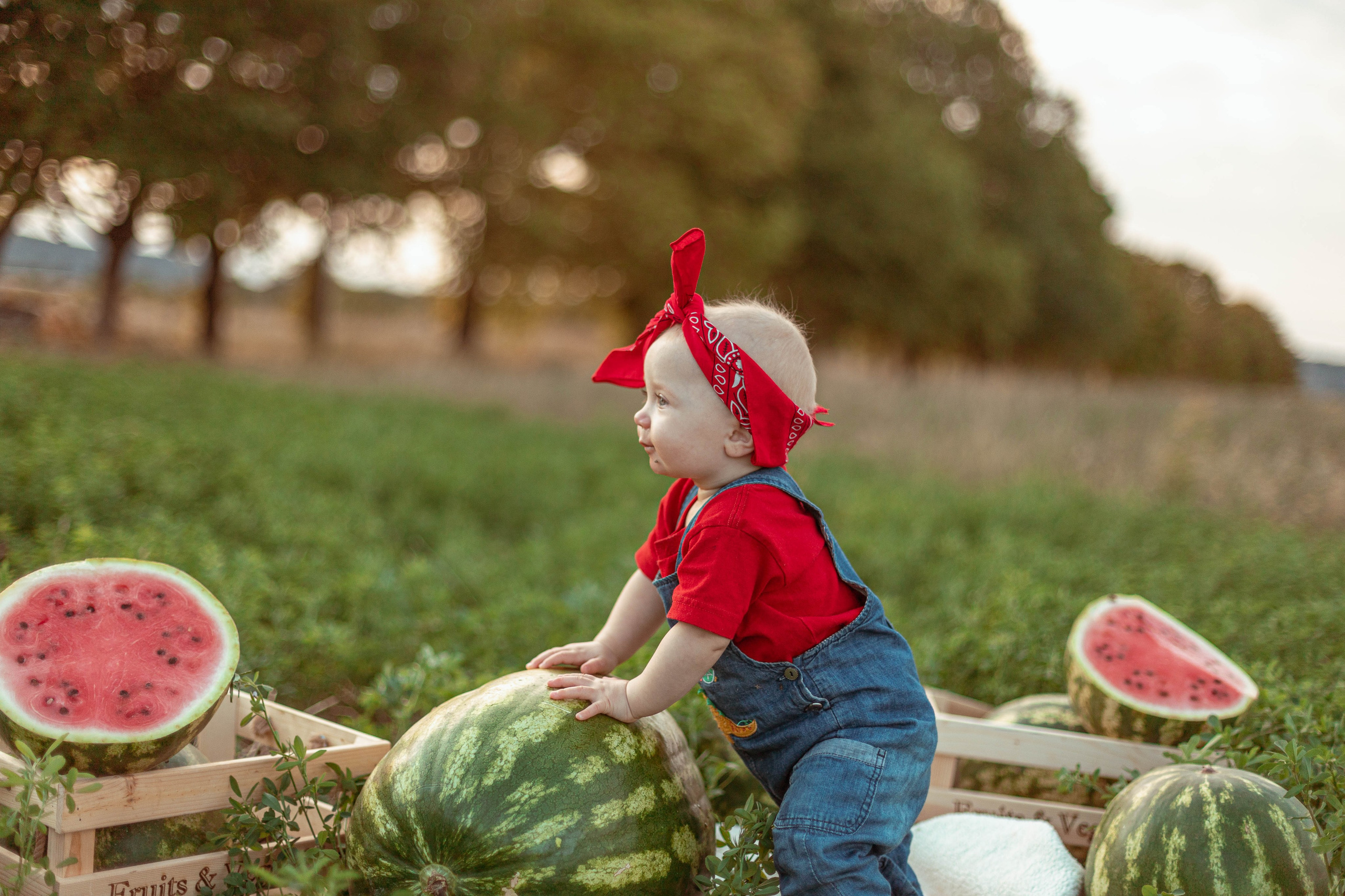 АРБУЗЫ. Семейный и детский фотограф в Крыму Екатерина Швец