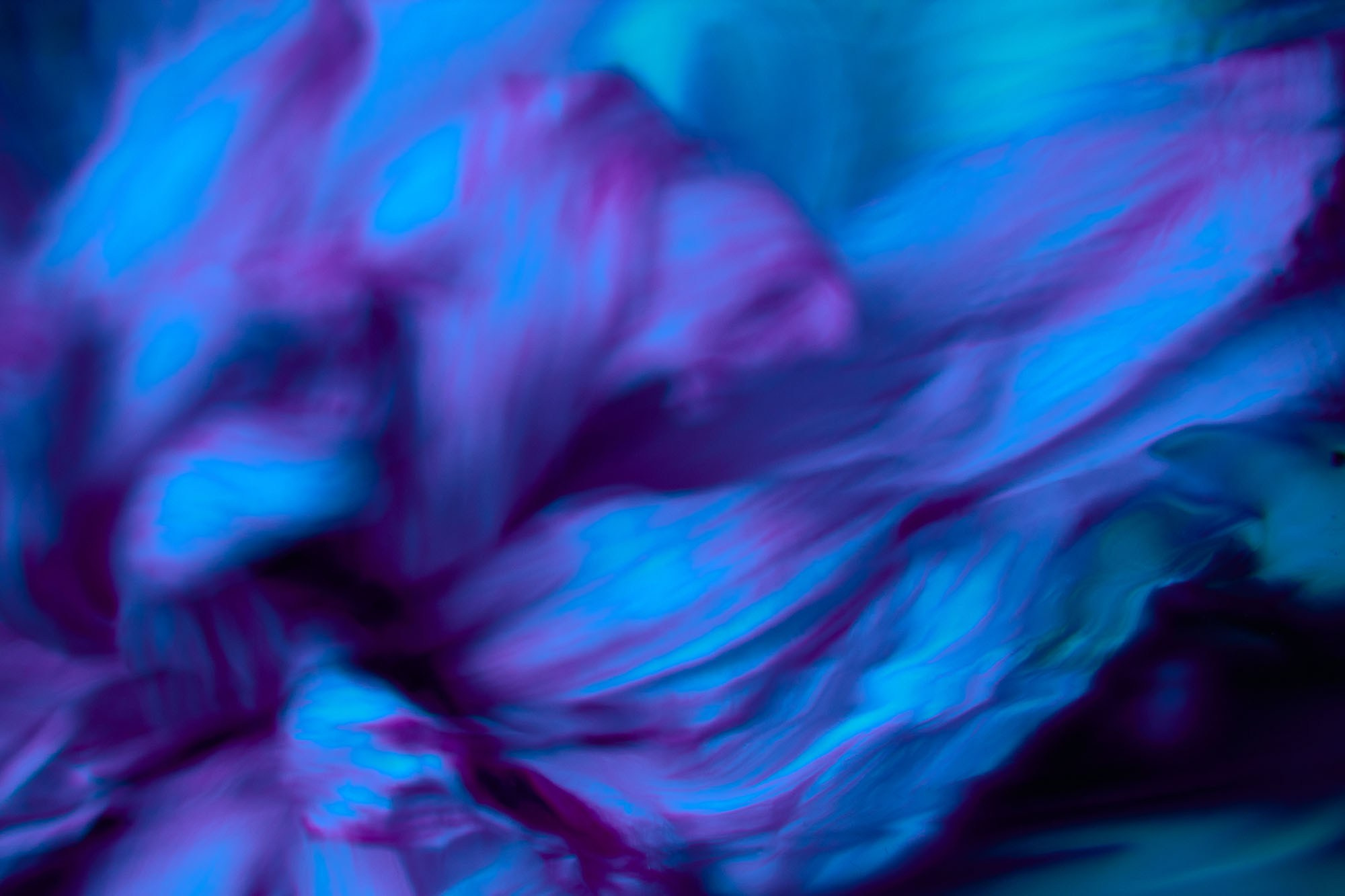 Макро-абстракция «Эфемерность» | Лимитированная серия. Sandra Marselly | Абстрактная Макро-Фотография