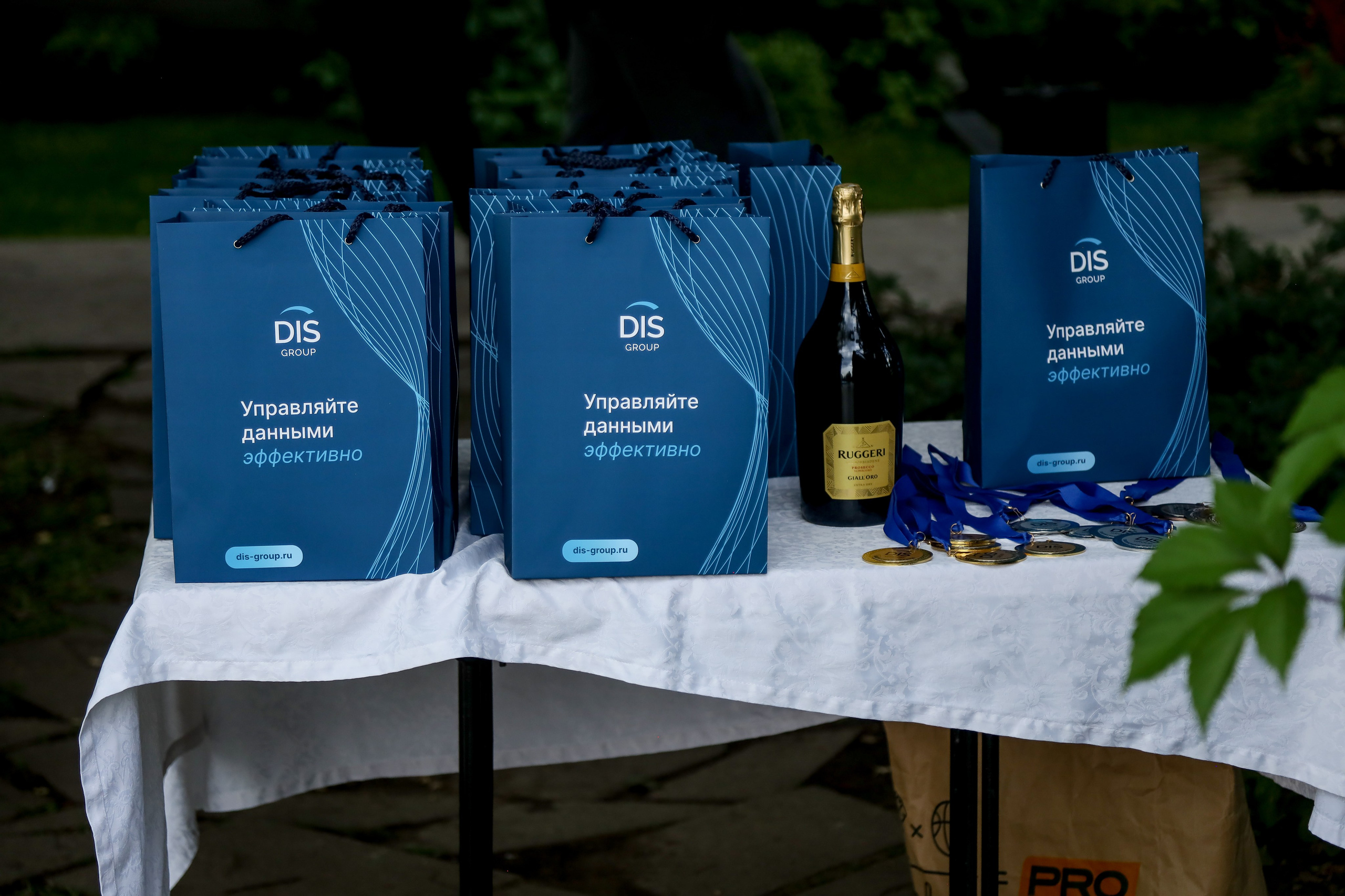 DIS регата2024. Фотограф Антон Чупринин