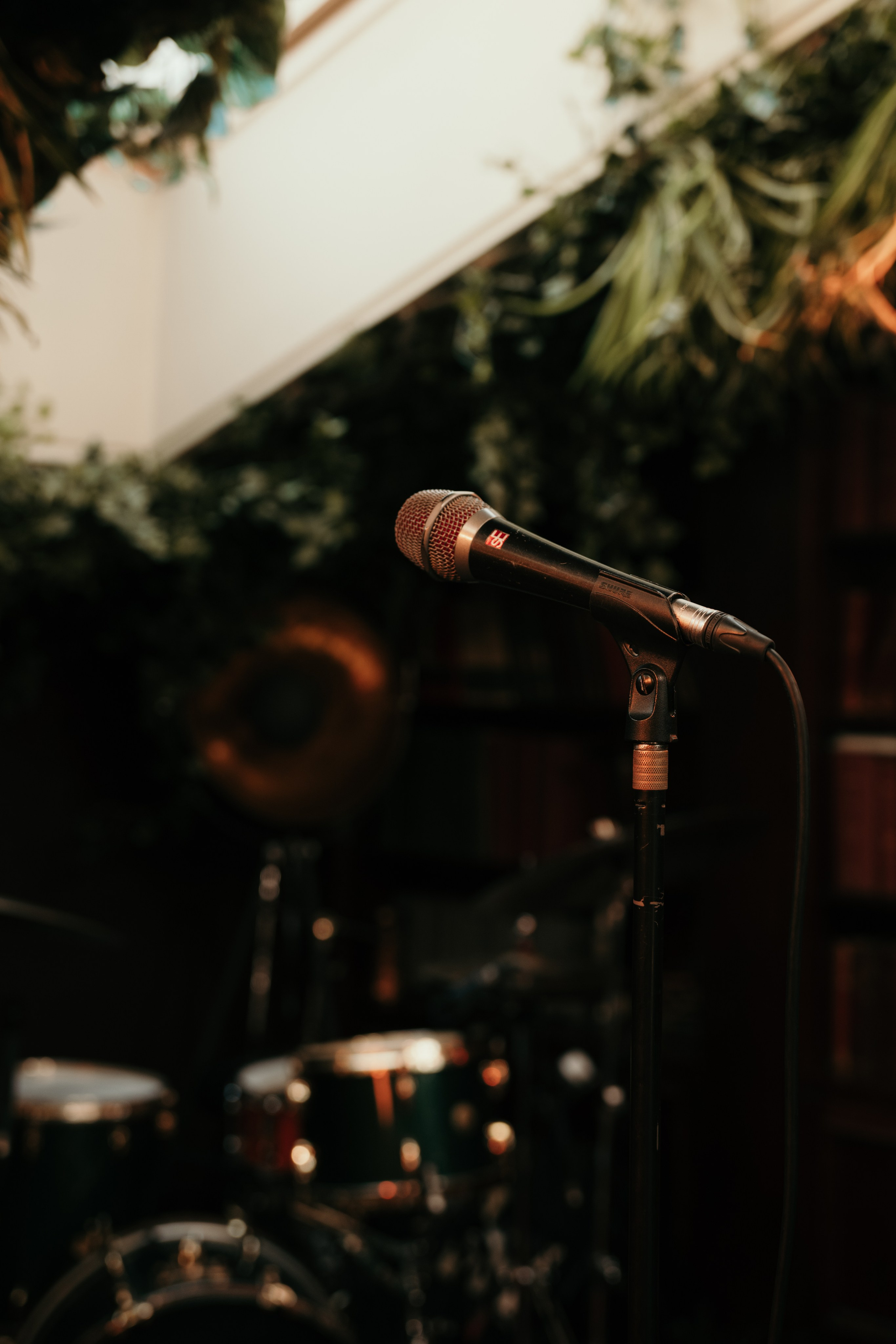 Джазовый вечер. Фотограф и видеограф Мария Банщикова, Солнечногорск, Москва