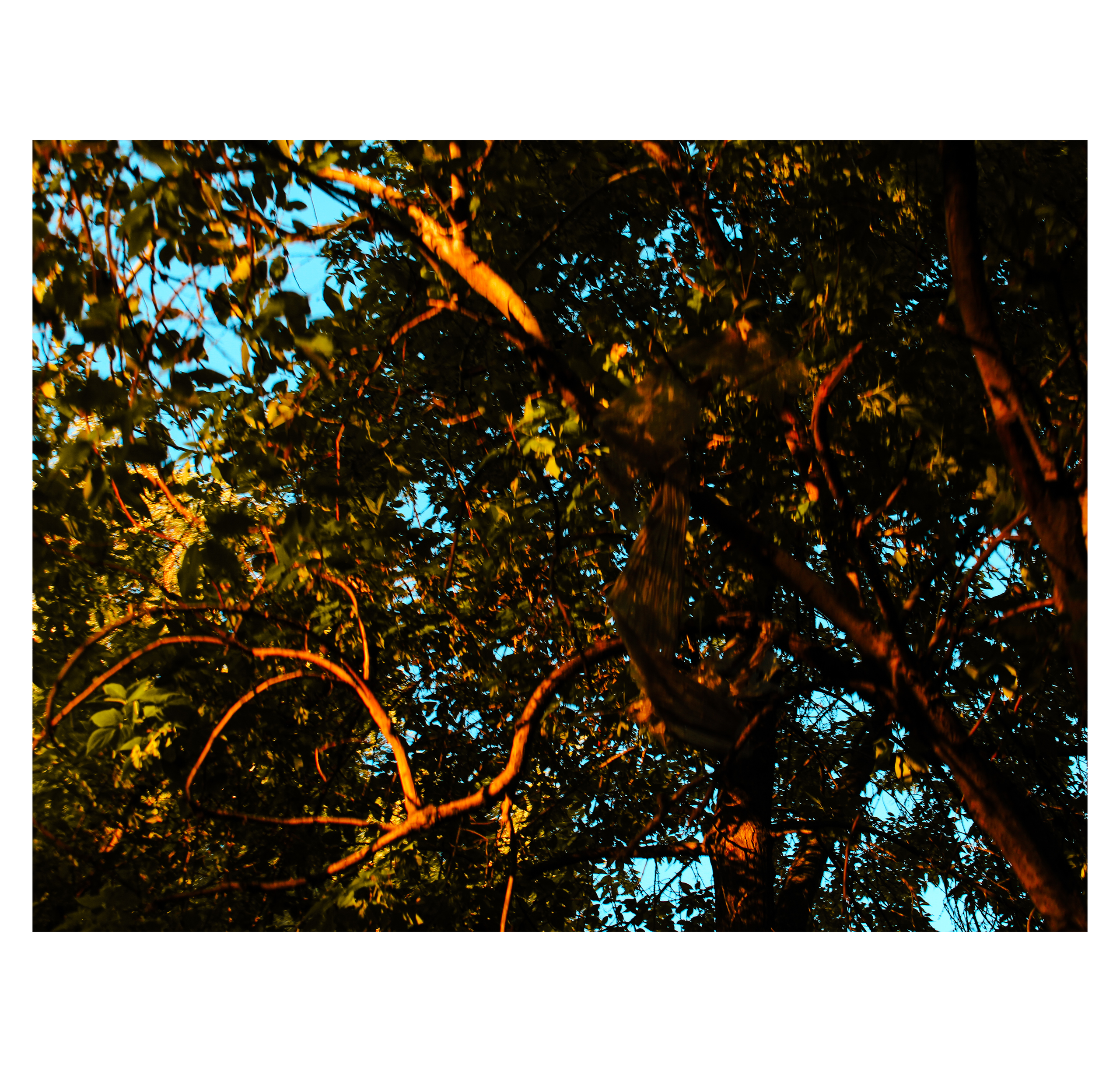 Summertime. Фотограф/дизайнер в Екатеринбурге Хитрый Дмитрий