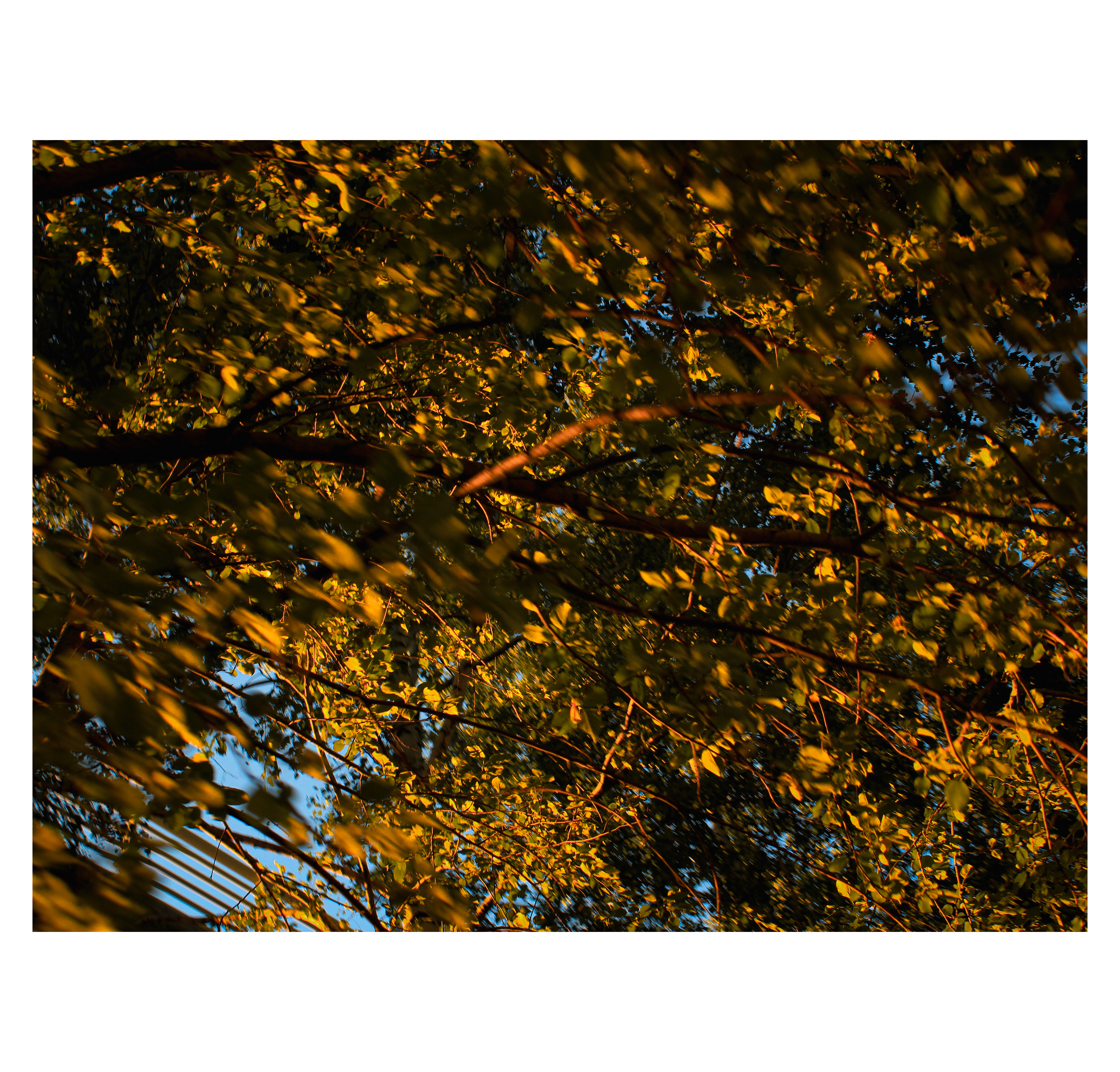 Summertime. Фотограф/дизайнер в Екатеринбурге Хитрый Дмитрий