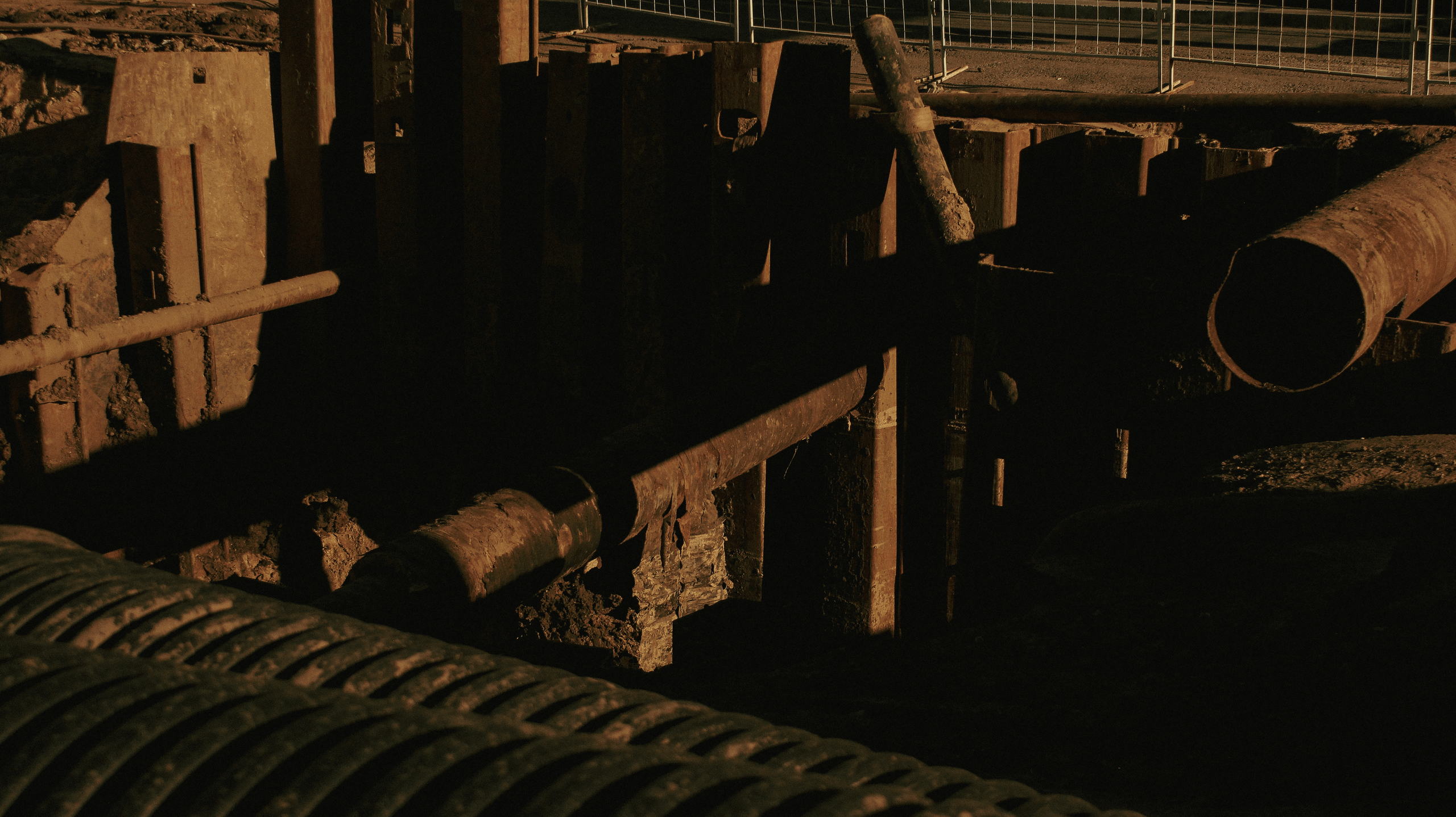 TMN summer '24. Фотограф/дизайнер в Екатеринбурге Хитрый Дмитрий