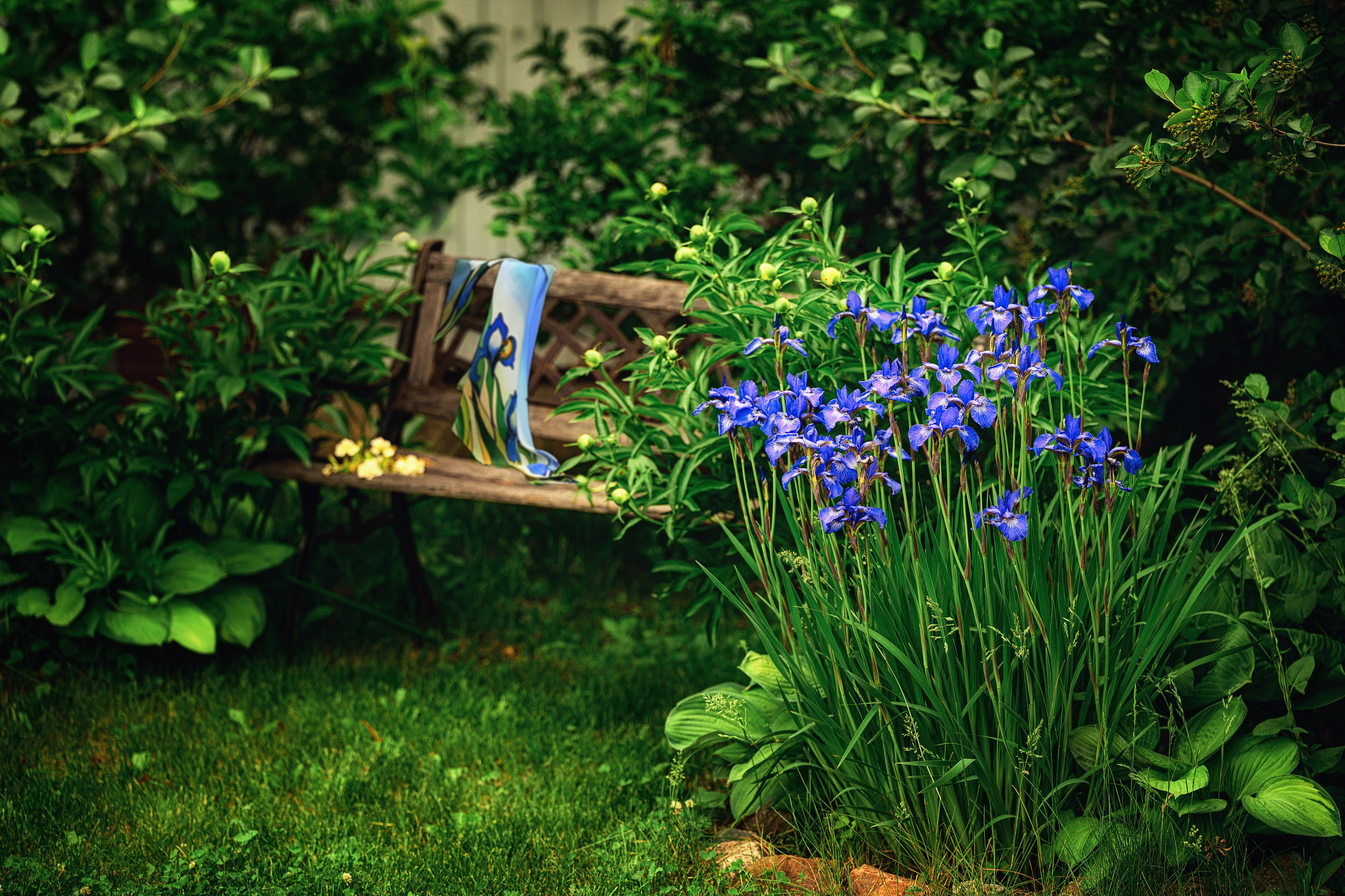 Поэзия цветов. Портретный фотограф в Челябинске Катерина Руди