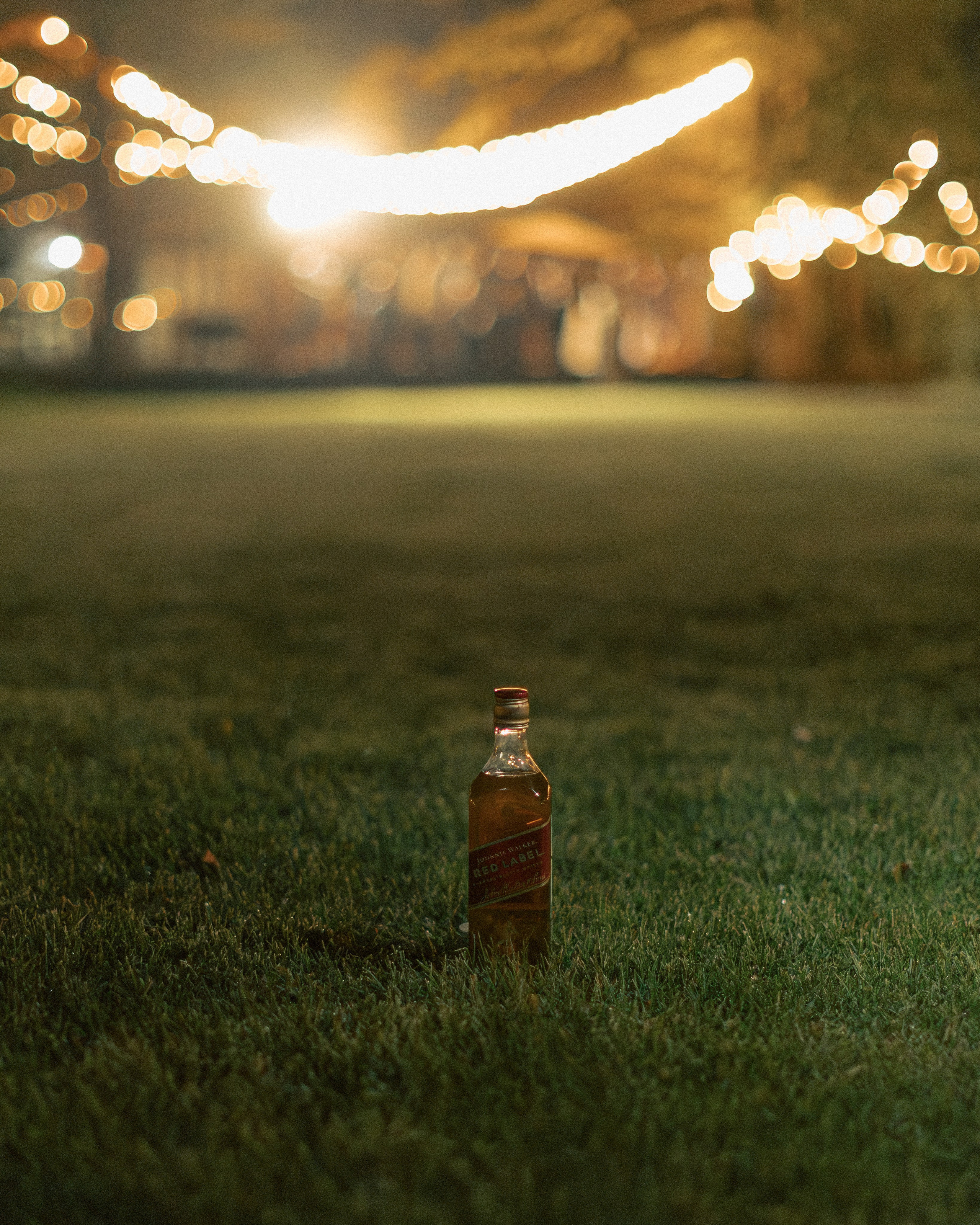 Боря и Амина. Свадебный и портретный фотограф в Москве Анна Плавская