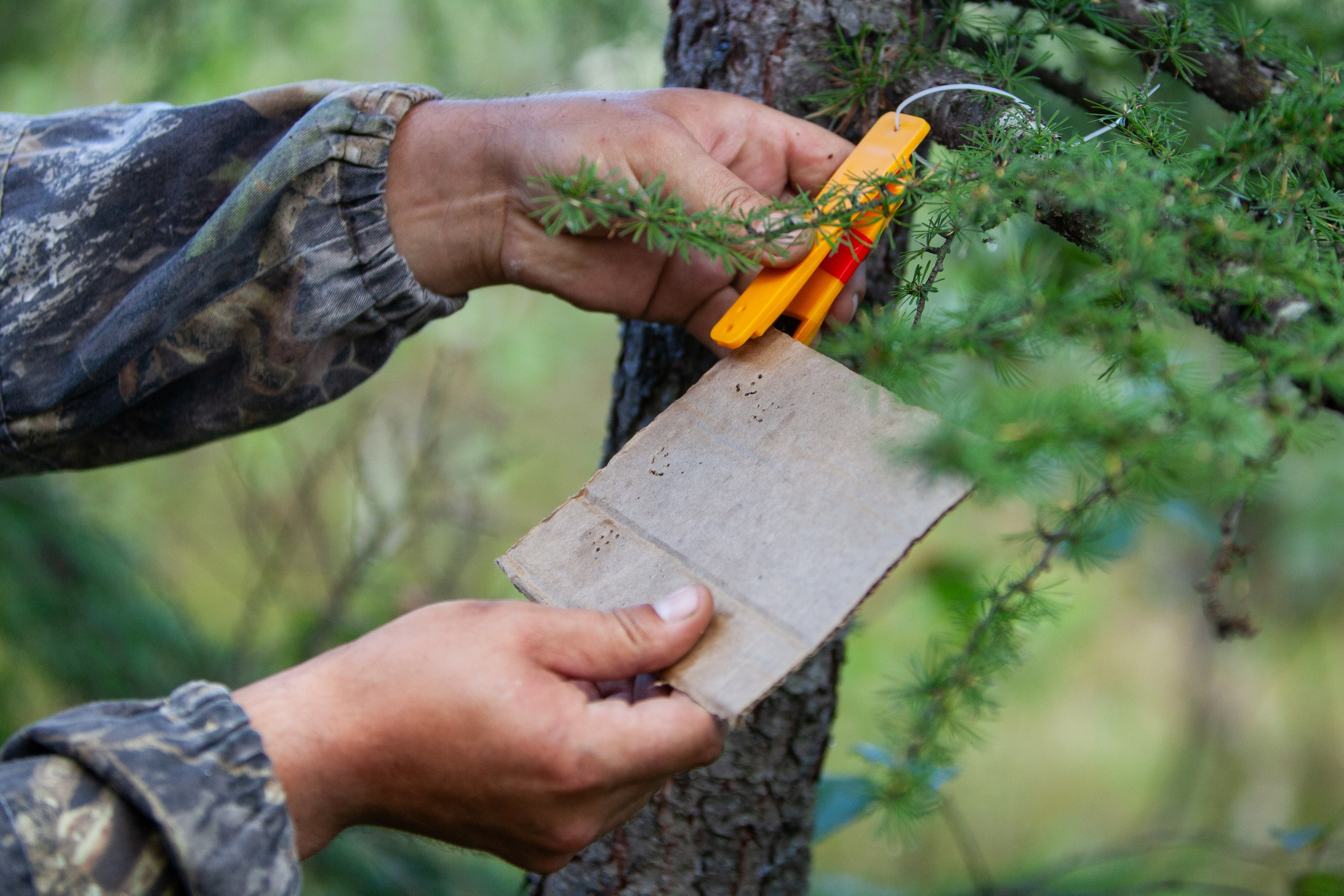 "Остров 2024". Кутузов Евгений Фотограф в Южно-Сахалинске