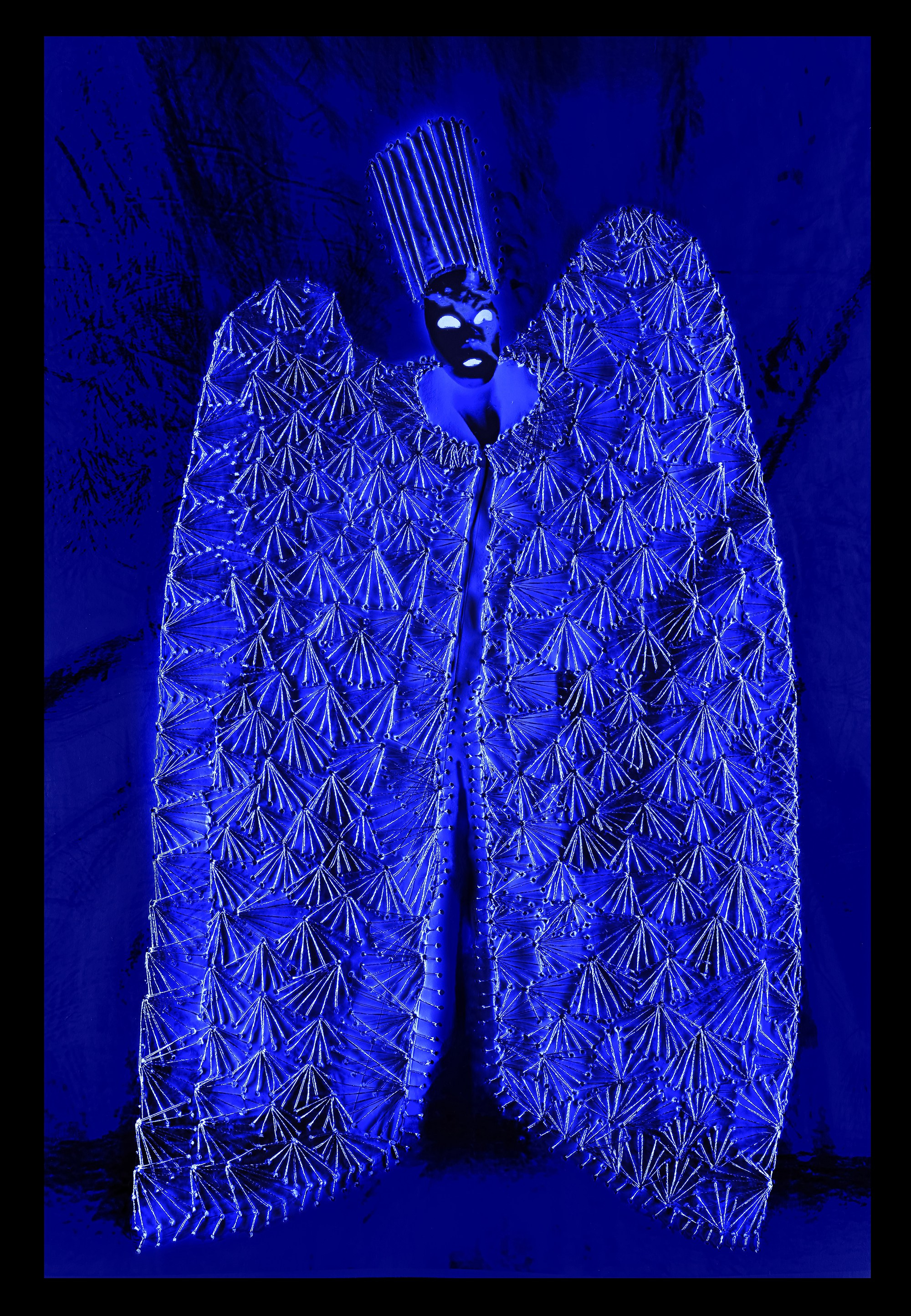 Грозовая птица. Североамериканский образ огромных птиц, управляющих погодой. Порождают громы и молнии.