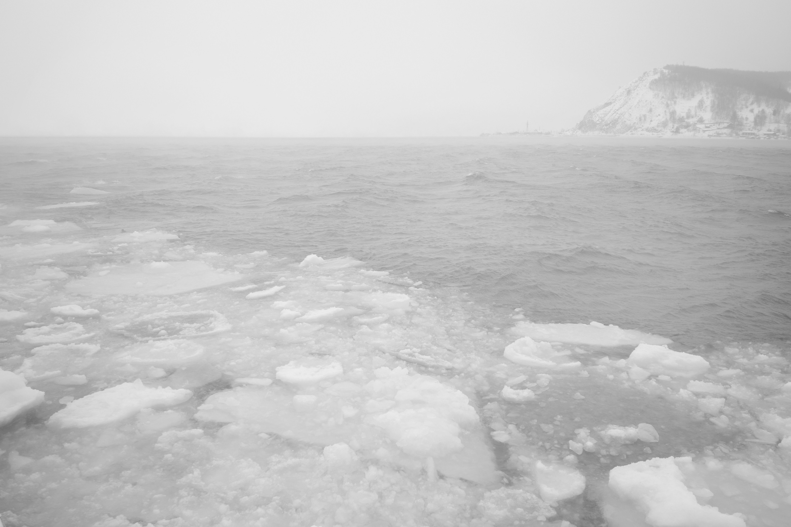 Безмолвие пустоши. Междисциплинарный художник Екатерина Старовойтова