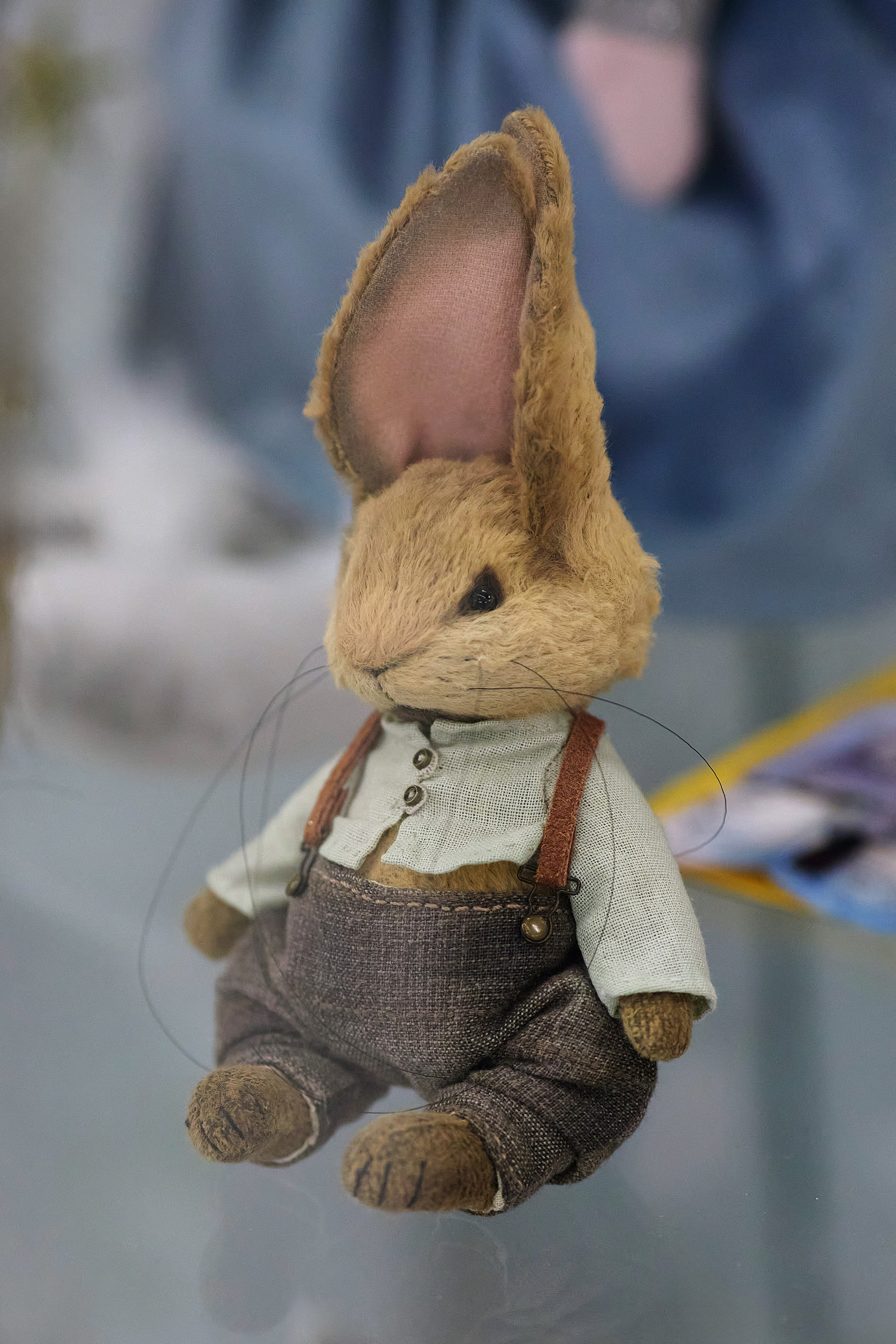 Плюшевый заяц в одежде с подтяжками - фотография на размытом фоне