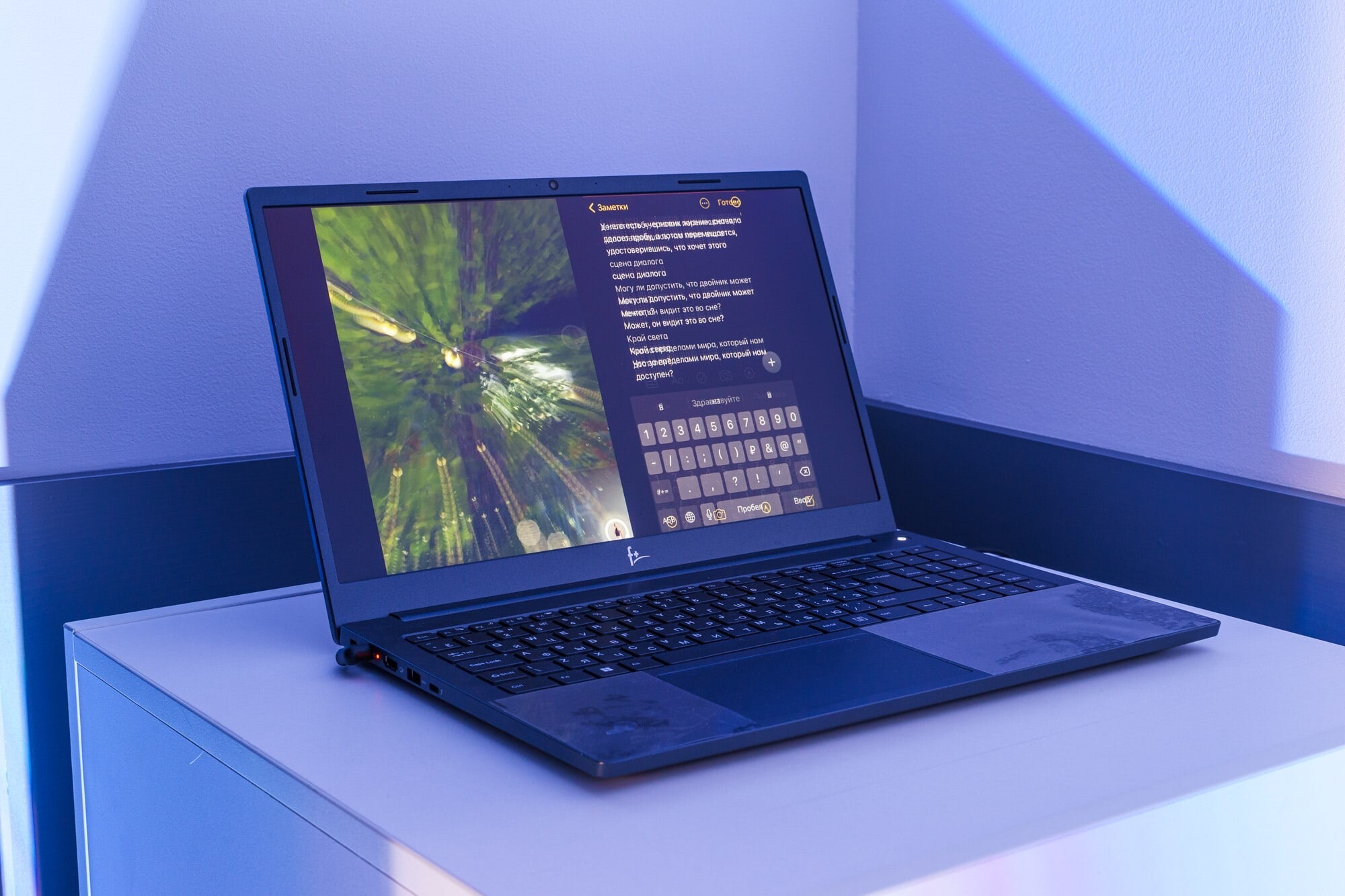 Двойник. Шалыгина Юлия