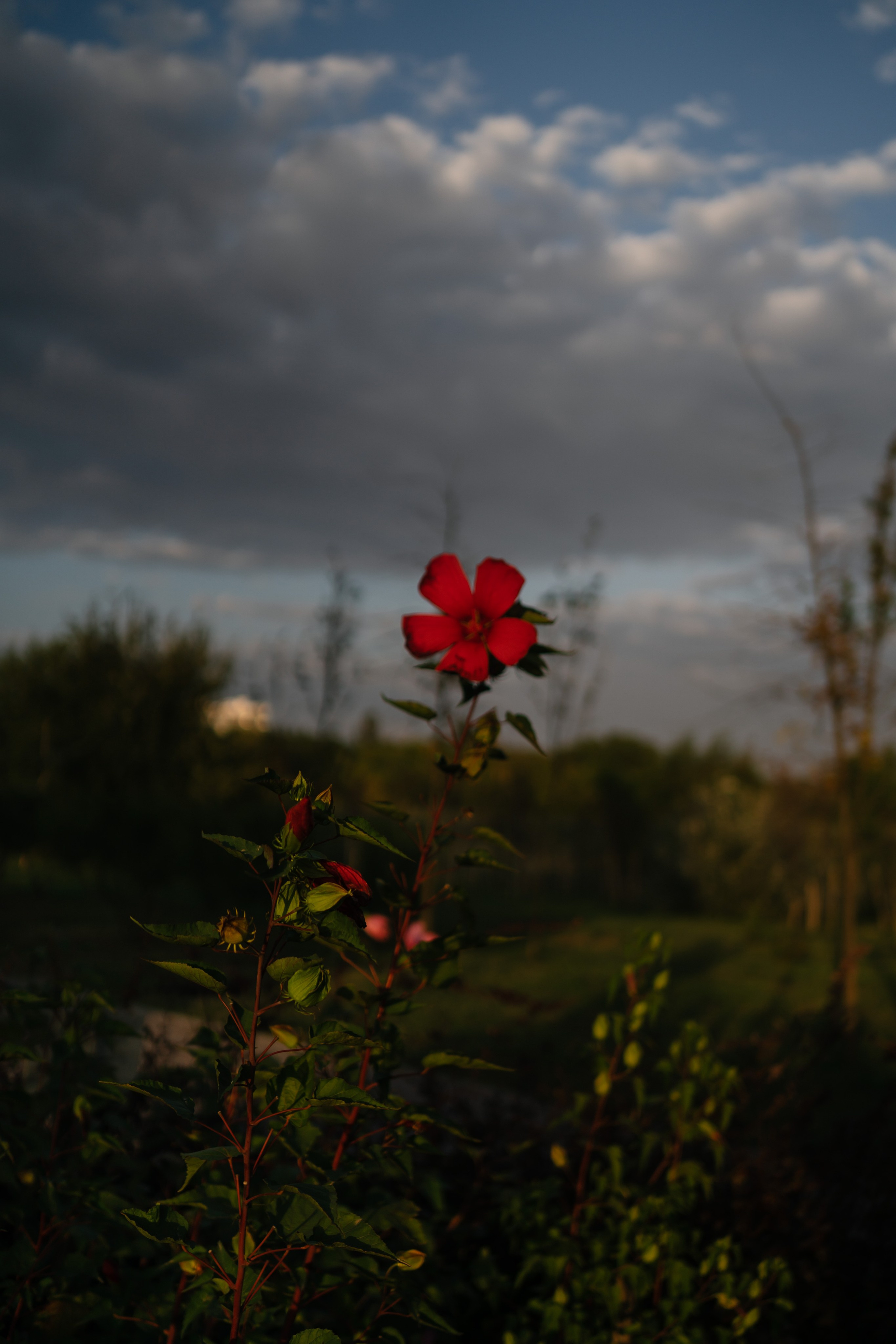 Локации для школьных съемок. Семейный фотограф и видеограф Ростов-на-Дону