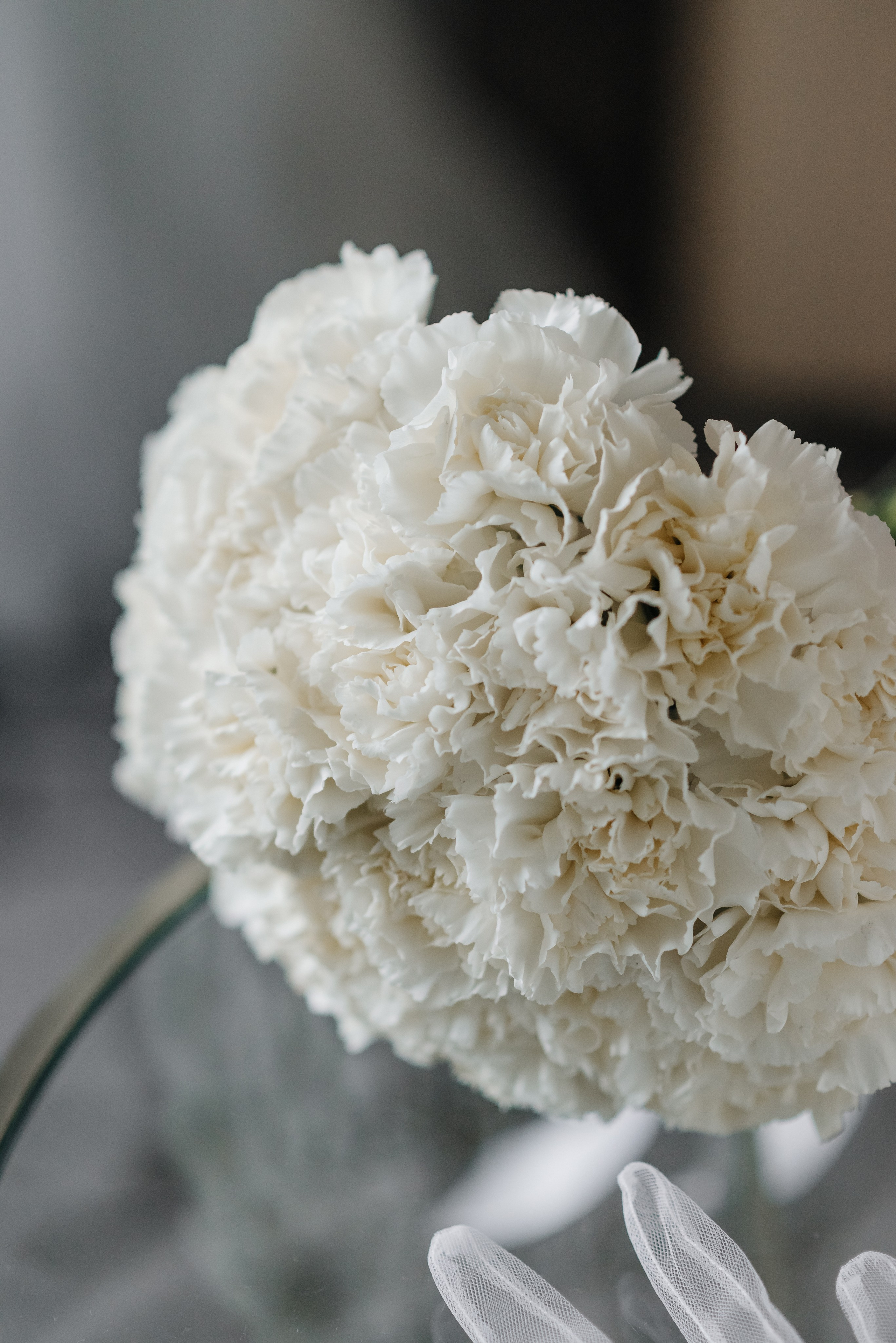 Катя и Кирилл. Свадебный и портретный фотограф в Минске Татьяна Лобода