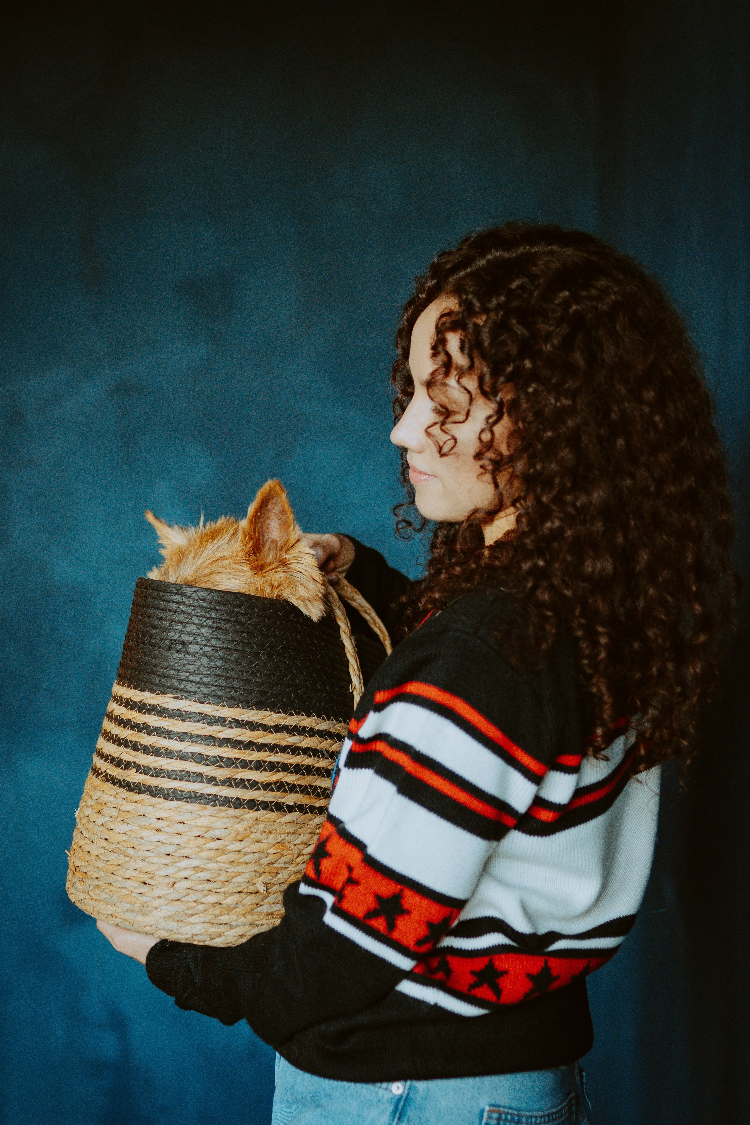 Фотосессия с собакой в студии. Фотограф анималист в Спб недорого Олеся Майорова