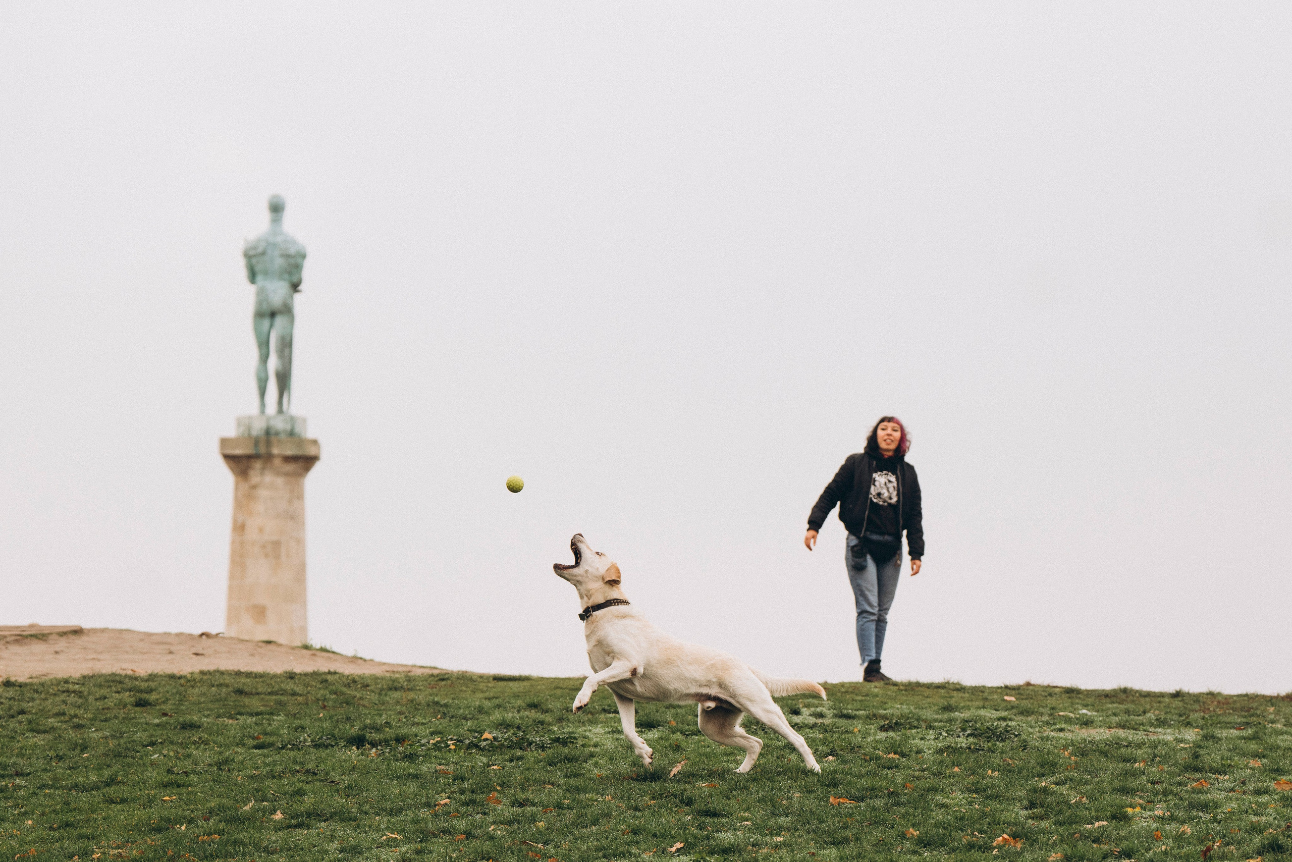 Вати, Лена и Леван. Фотограф анималист в Спб недорого Олеся Майорова