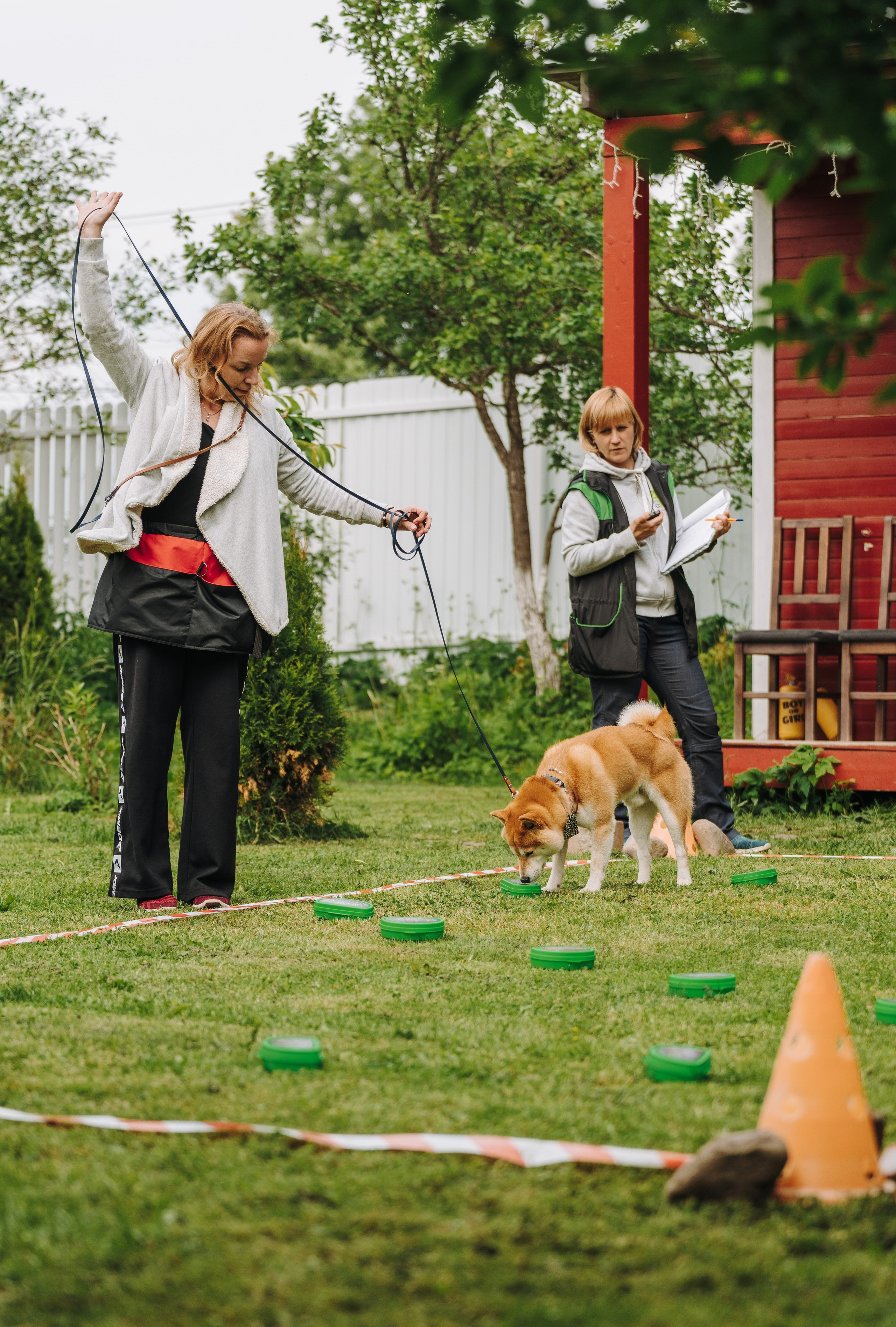 Соревнования по ноузворку. Фотограф анималист в Спб недорого Олеся Майорова