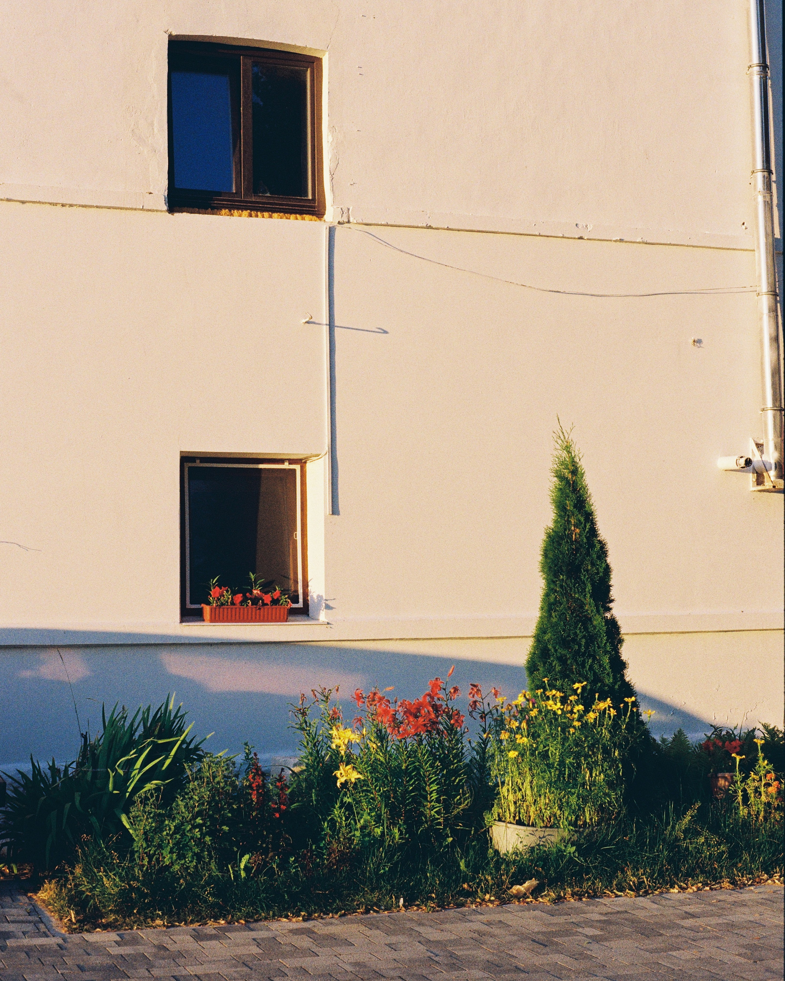 SUZDAL. ANNA — PHOTOGRAPHER