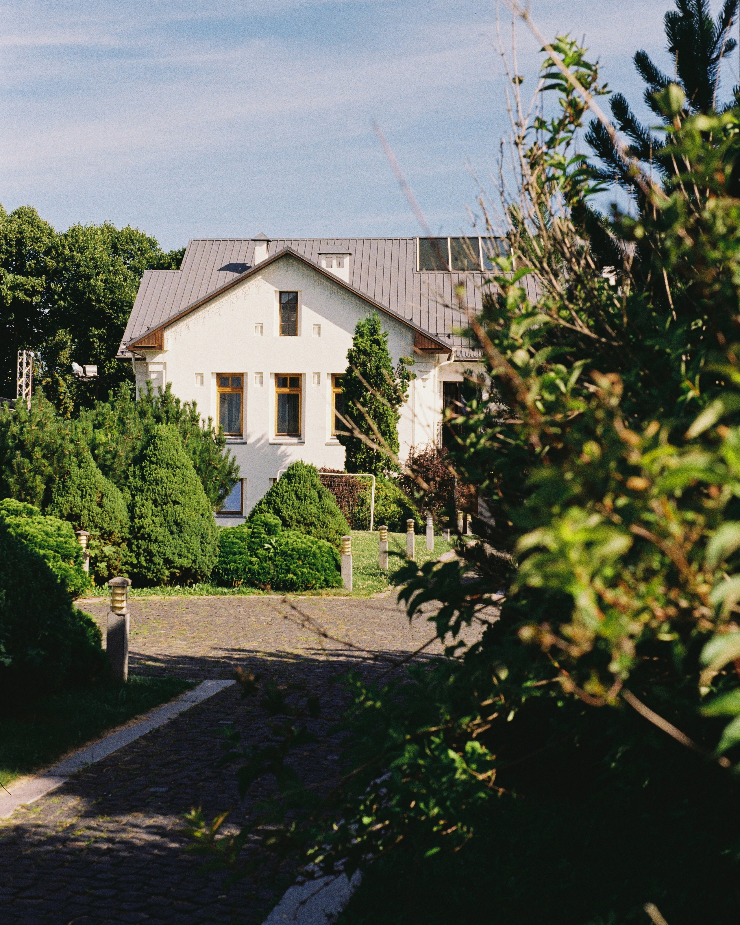 SUZDAL. ANNA — PHOTOGRAPHER