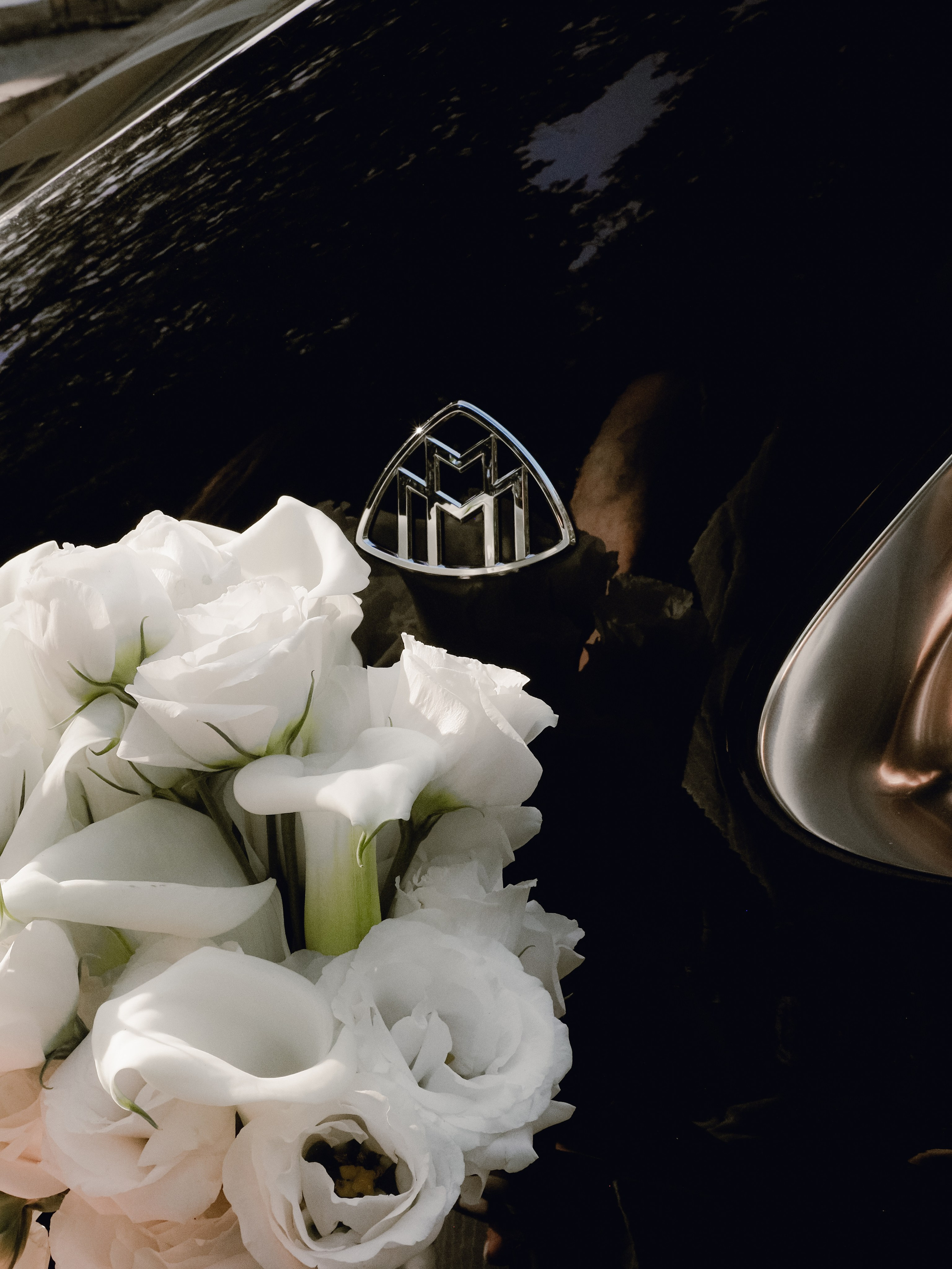 ❣️. Фотограф Рязань. Семейный Свадебный фотограф