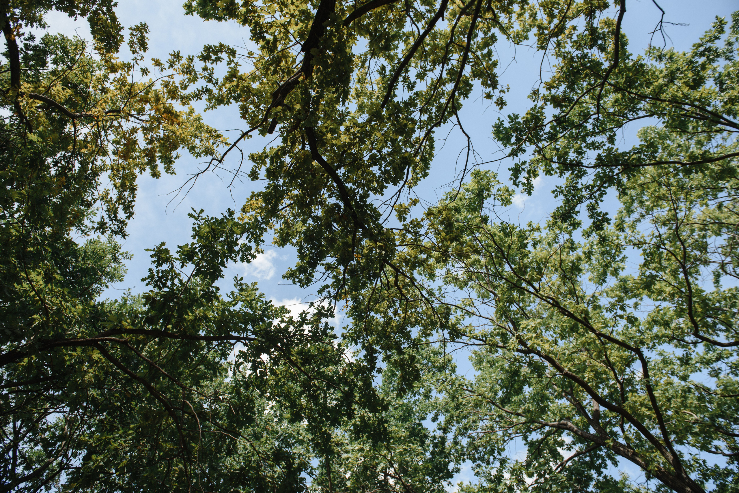 Я тебя от бед укрою…. Светлана Варфоломеева, женский и свадебный фотограф в Саратове