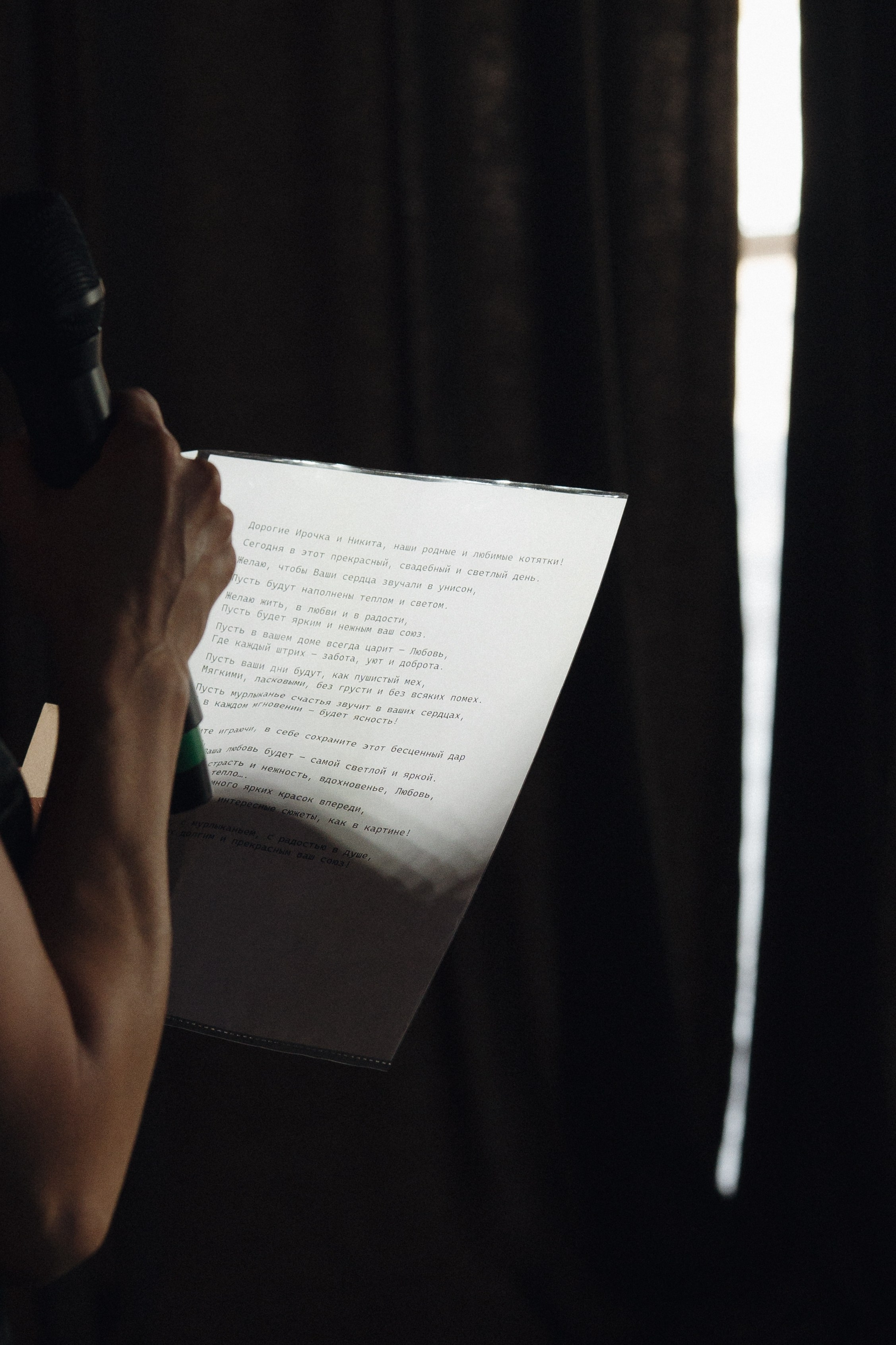 Котики. Свадебный фотограф Наташа Алешина