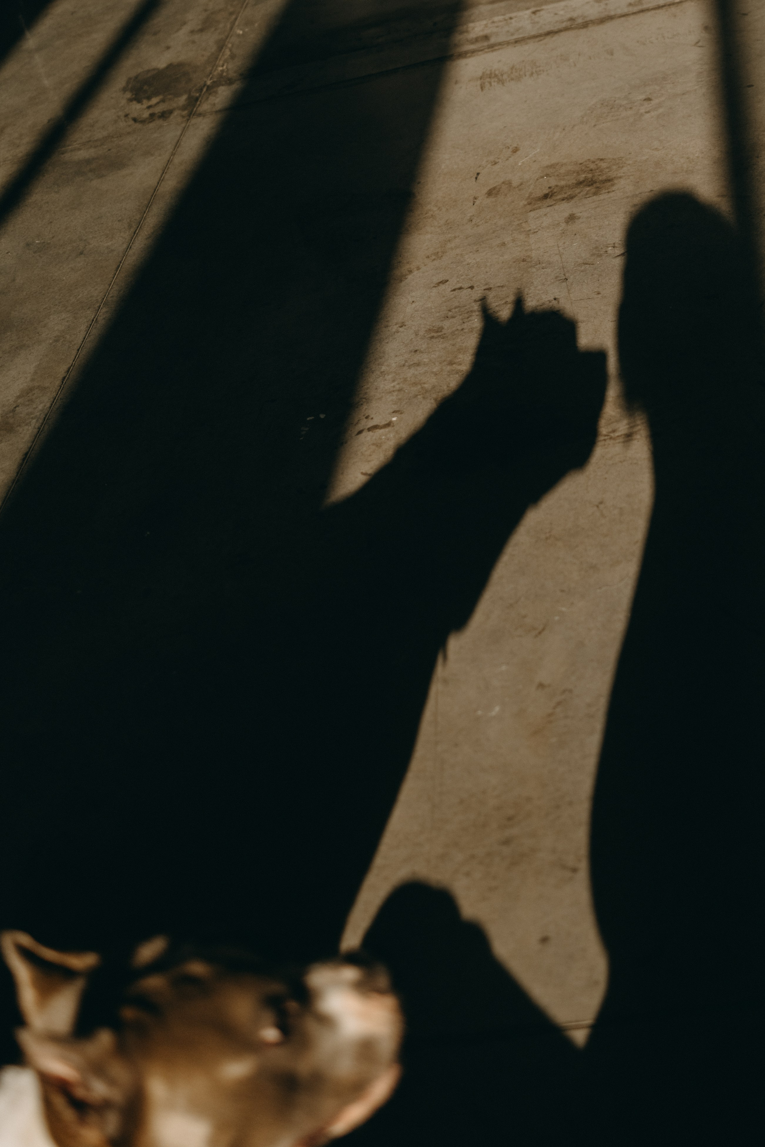 Саша и Кракен. Фотограф — Анималист | Санкт-Петербург