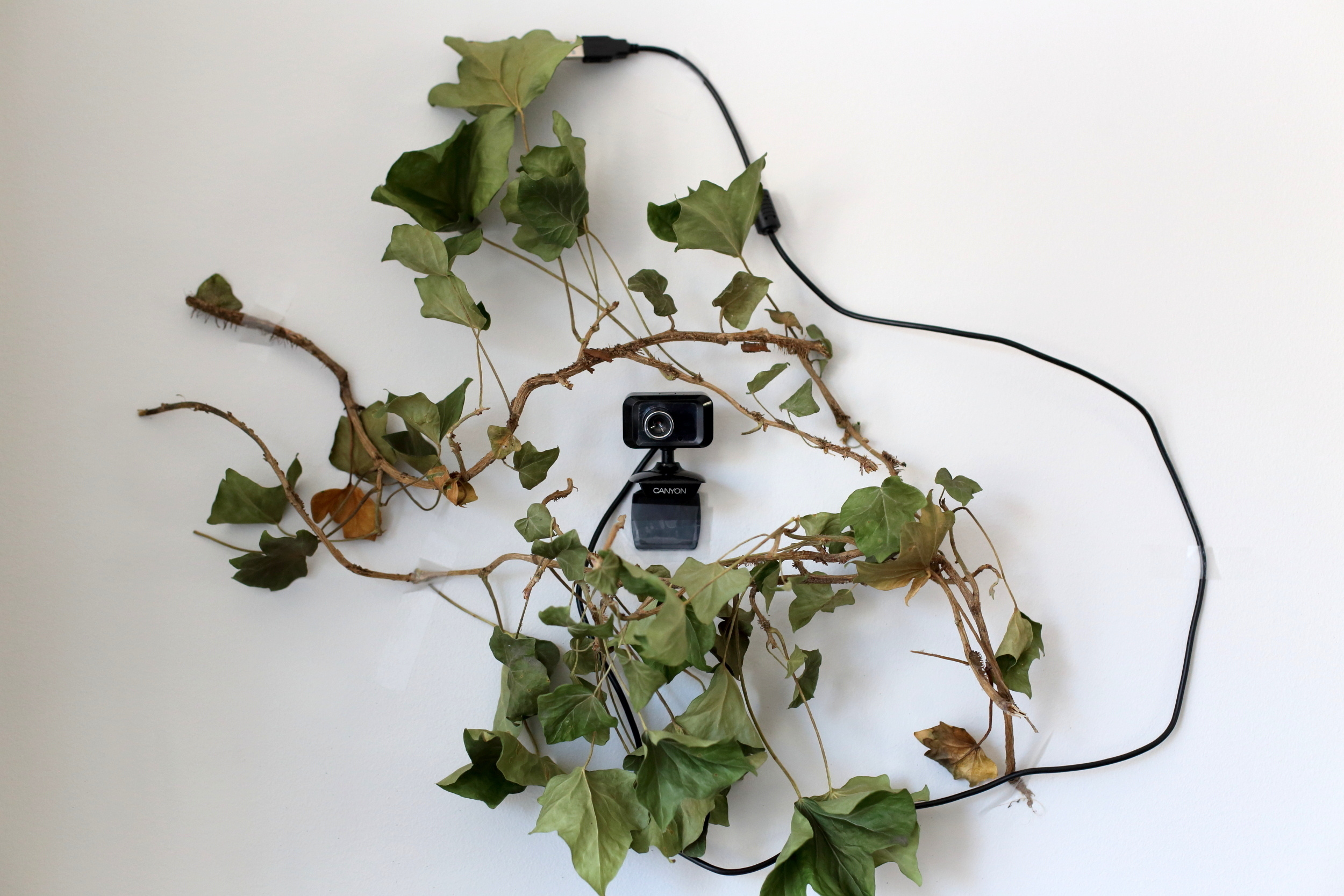 #stayathome. Екатерина Васильева художник, куратор и преподаватель