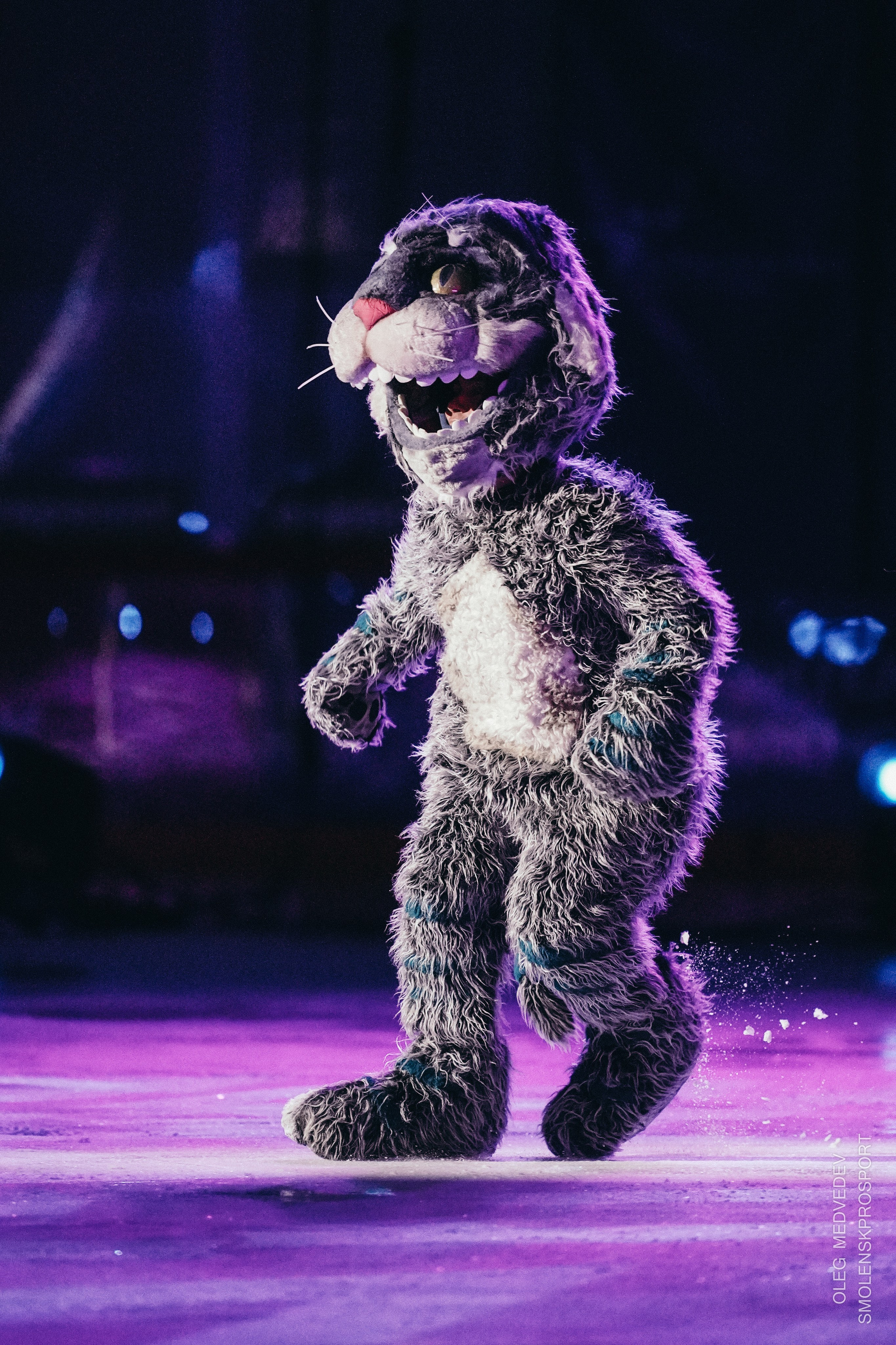 Алиса в стране чудес шоу на льду. Спортивный фотограф Олег Медведев | prosport67 | Смоленск