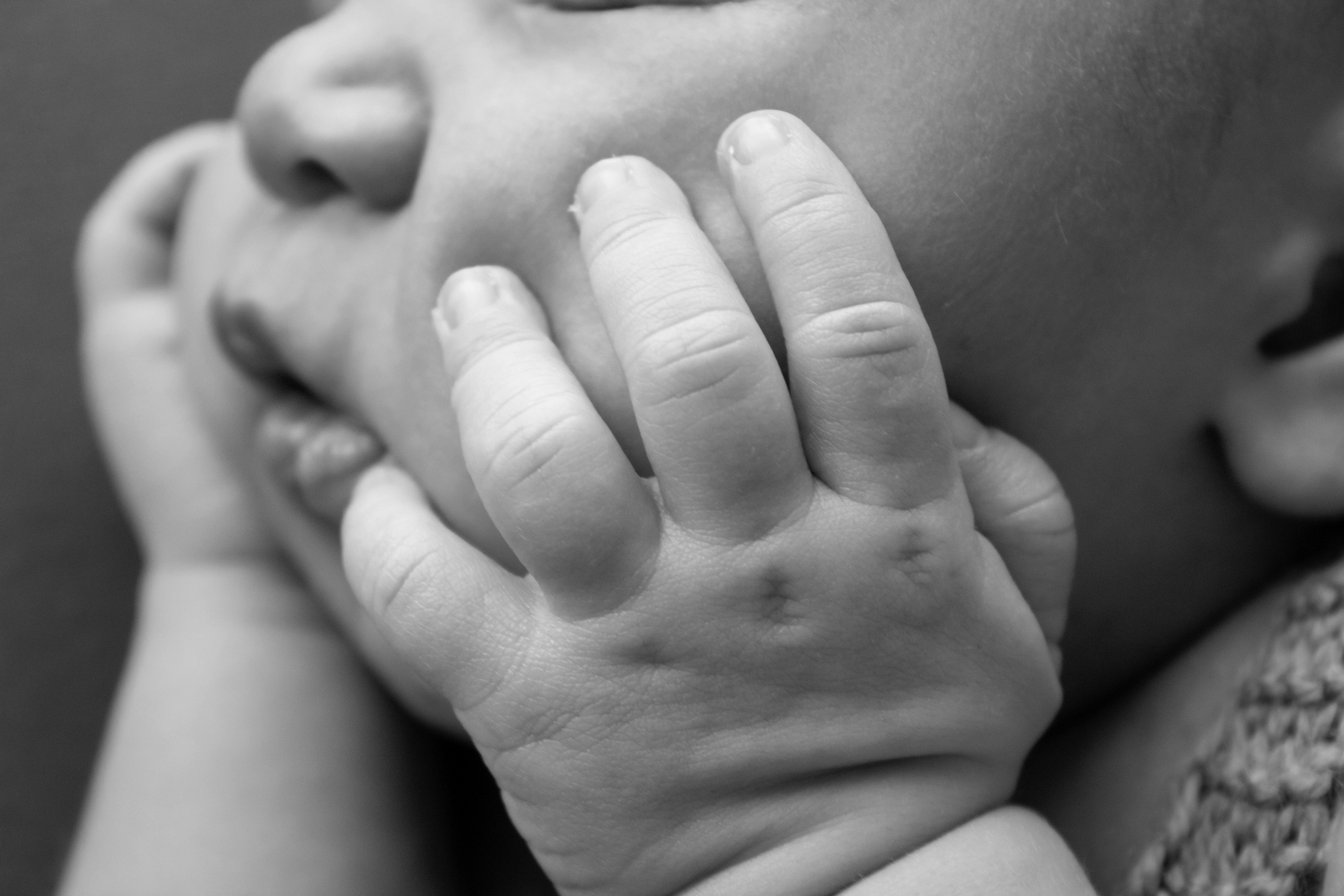 Новорожденные. Фотограф новорожденных Ольга Жижина