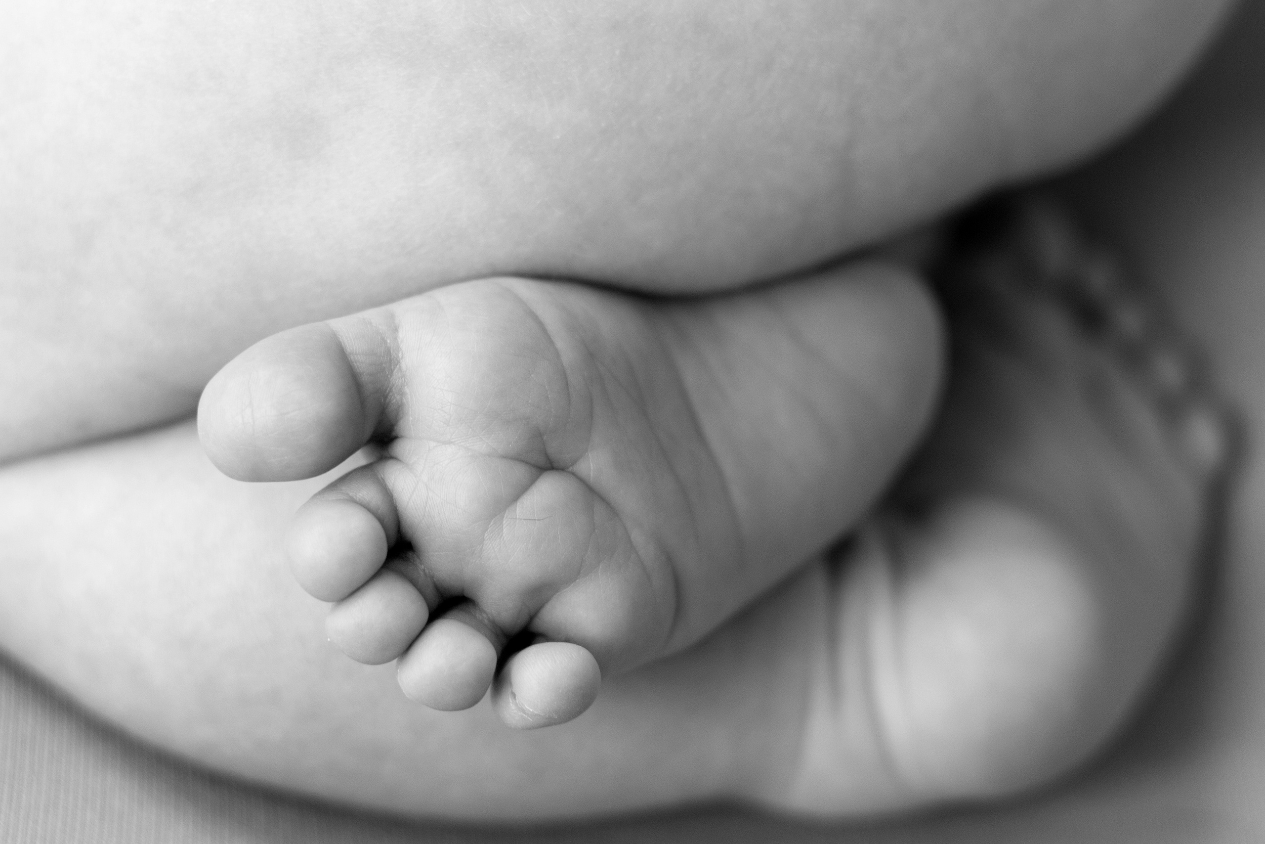 Новорожденные. Фотограф новорожденных Ольга Жижина