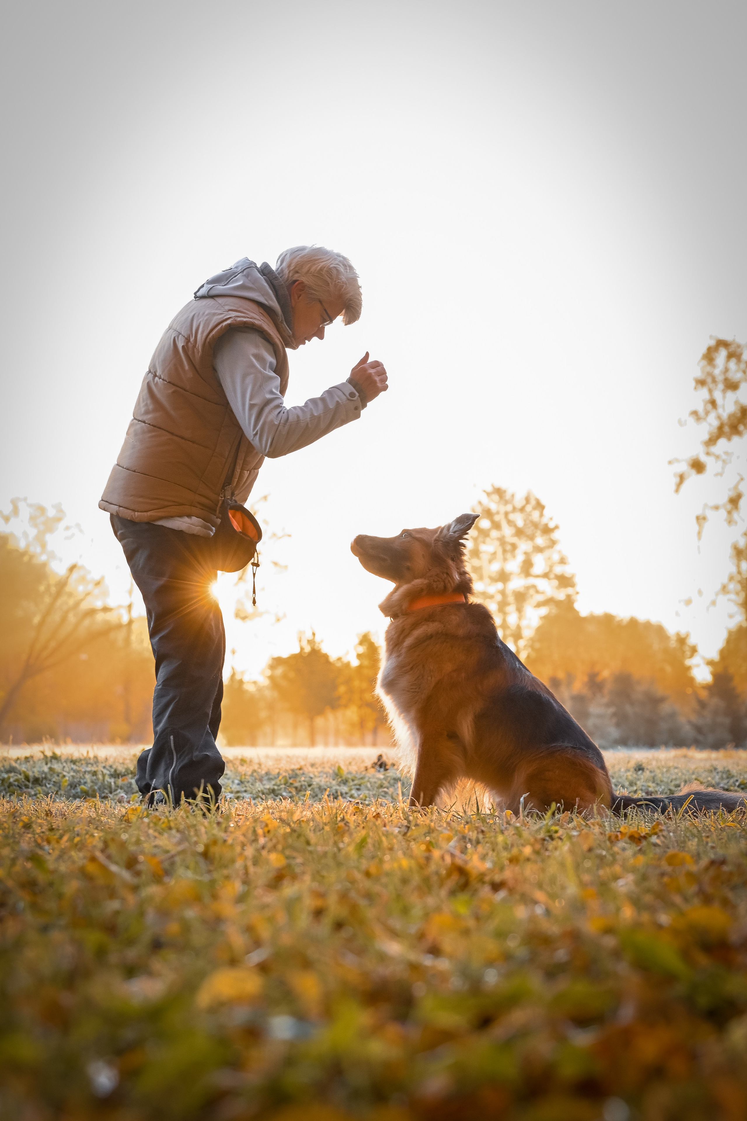 Питомцы с хозяином. Фотограф-анималист в Санкт-Петербурге Анастасия Иванова