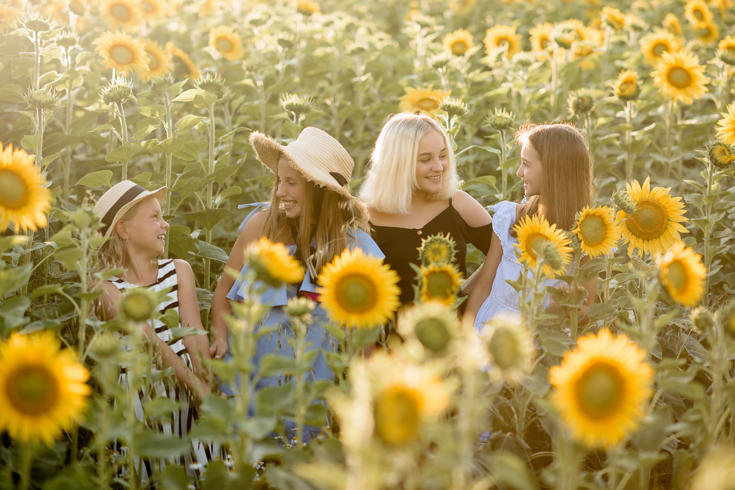 Фотосессия в подсолнухах. Профессиональный фотограф. Портрет, семья, дети