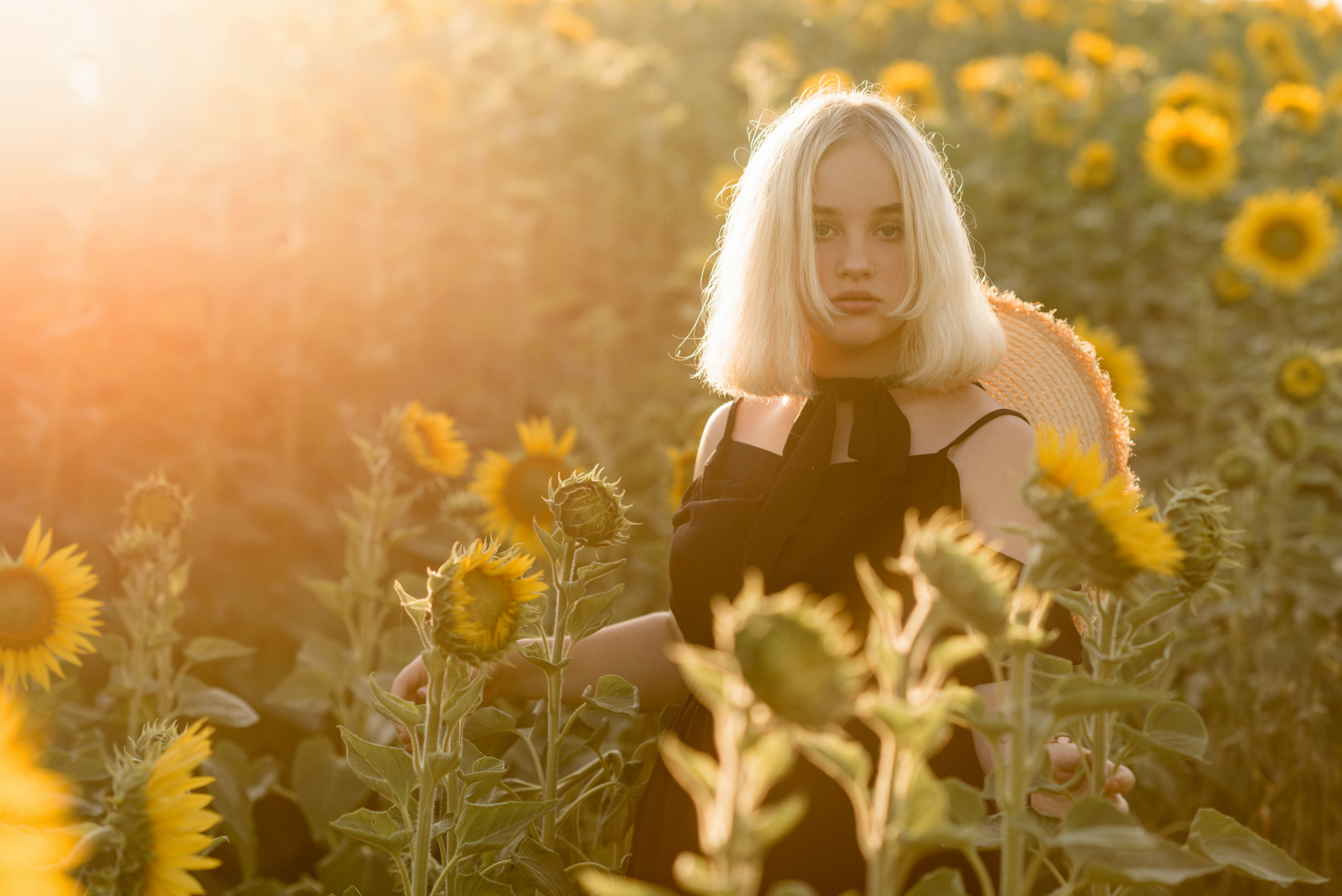 Фотосессия в подсолнухах. Профессиональный фотограф. Портрет, семья, дети