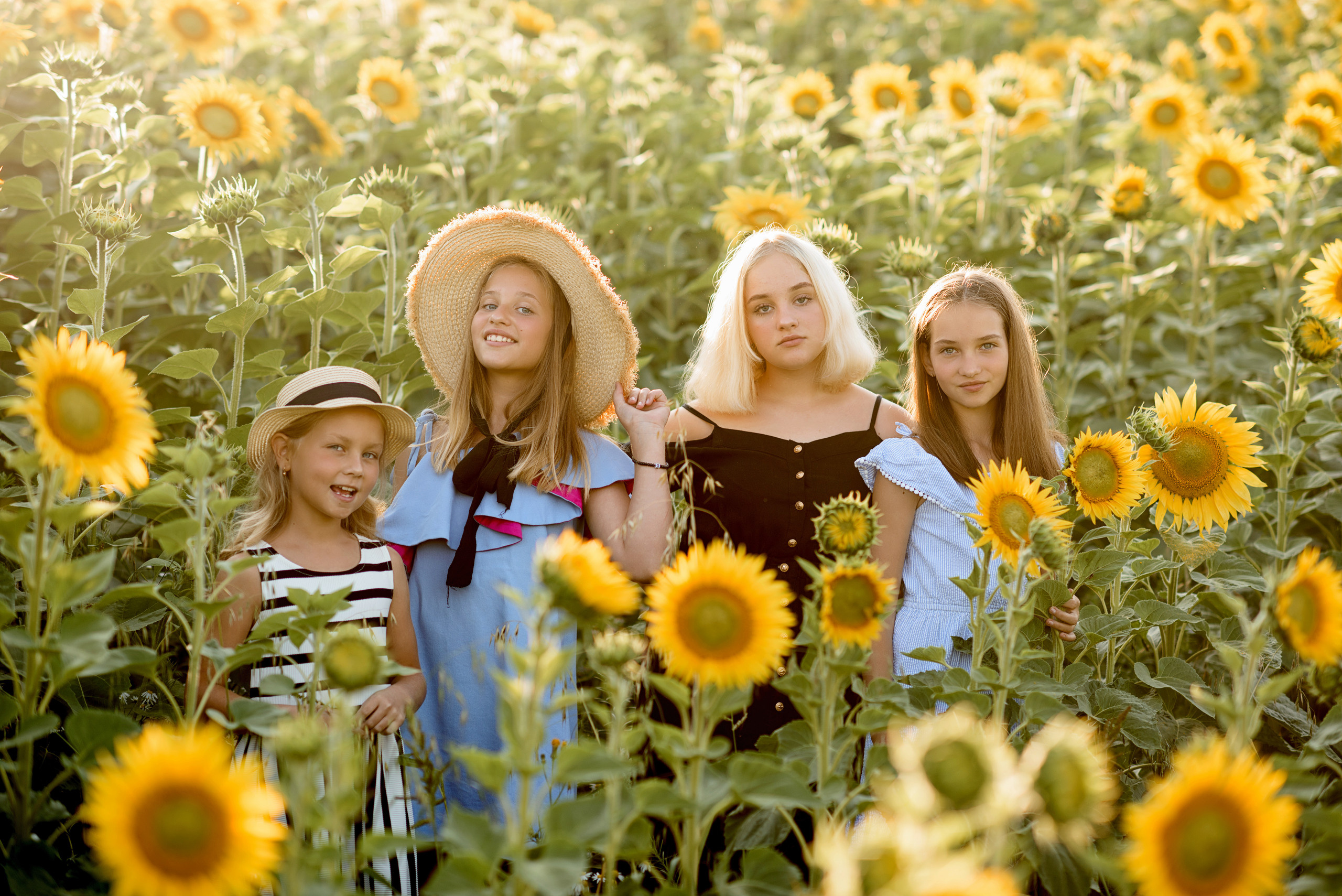 Фотосессия в подсолнухах. Профессиональный фотограф. Портрет, семья, дети