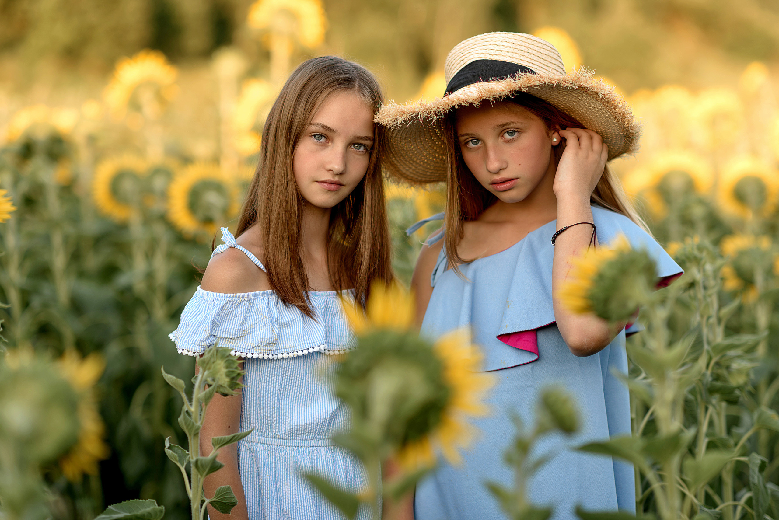 Фотосессия в подсолнухах. Профессиональный фотограф. Портрет, семья, дети