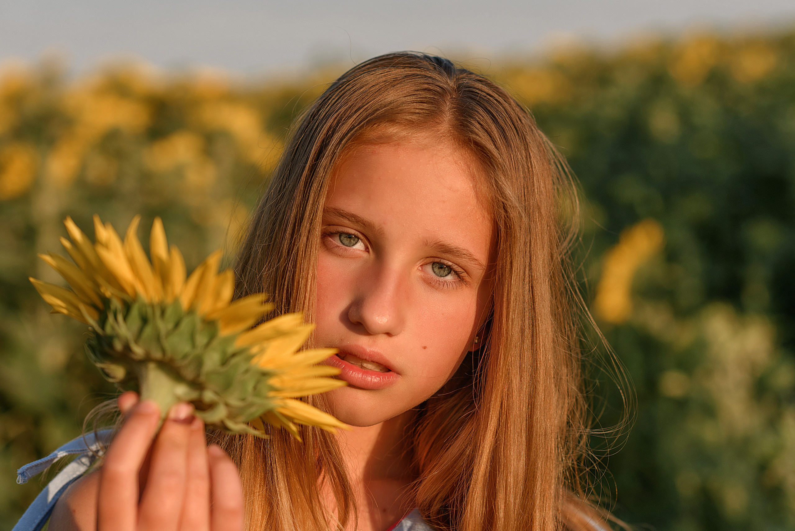 Фотосессия в подсолнухах. Профессиональный фотограф. Портрет, семья, дети