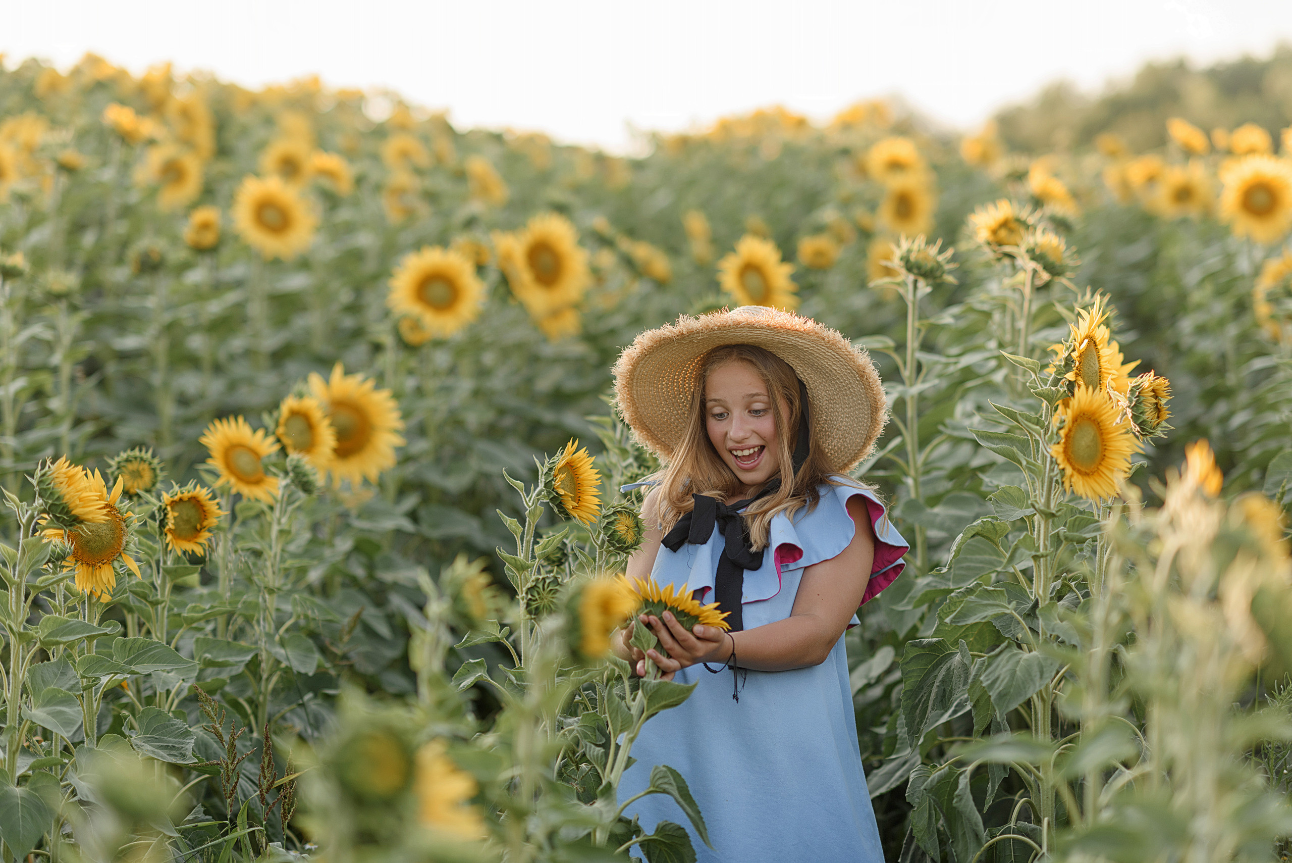 Фотосессия в подсолнухах. Профессиональный фотограф. Портрет, семья, дети