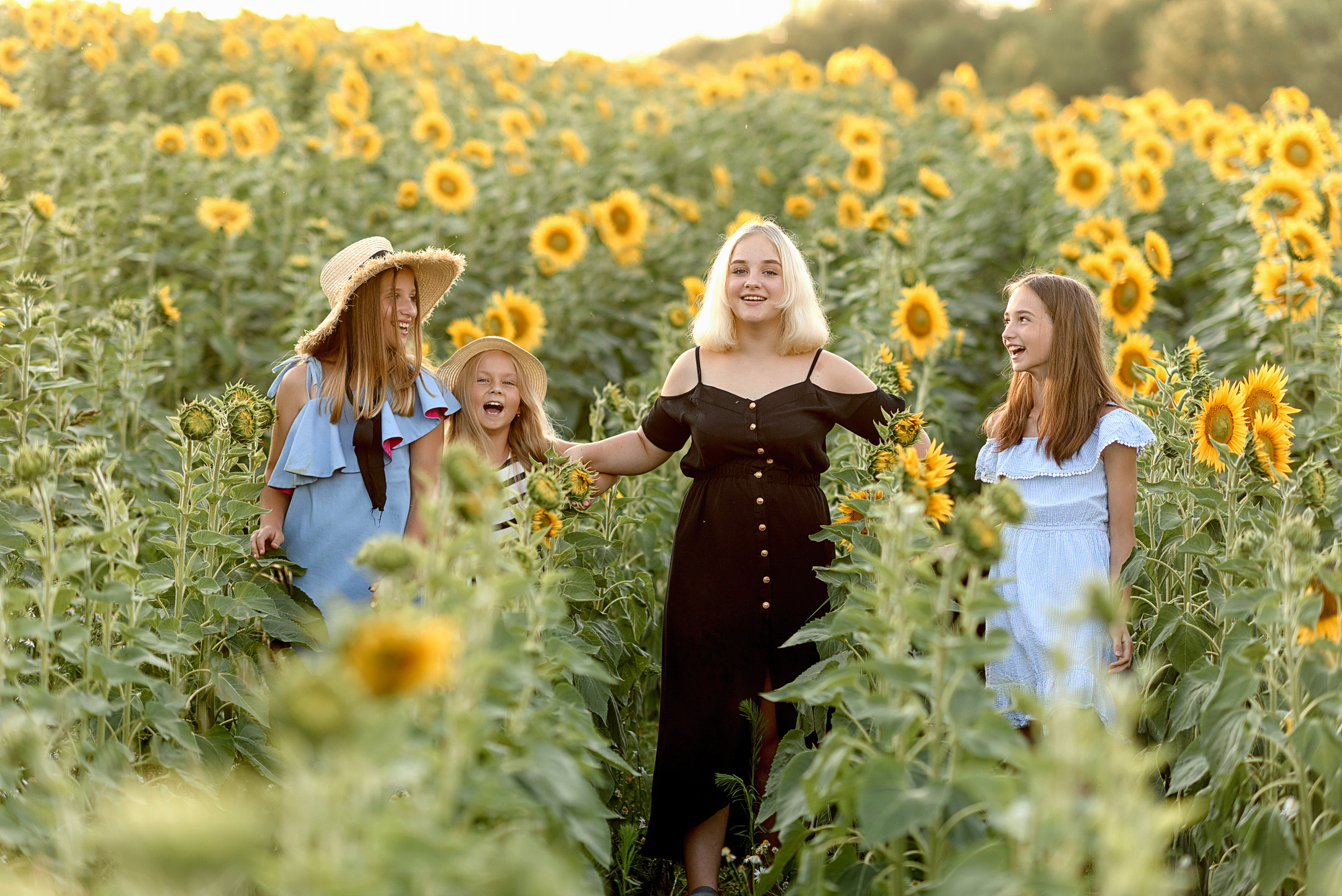 Фотосессия в подсолнухах. Профессиональный фотограф. Портрет, семья, дети