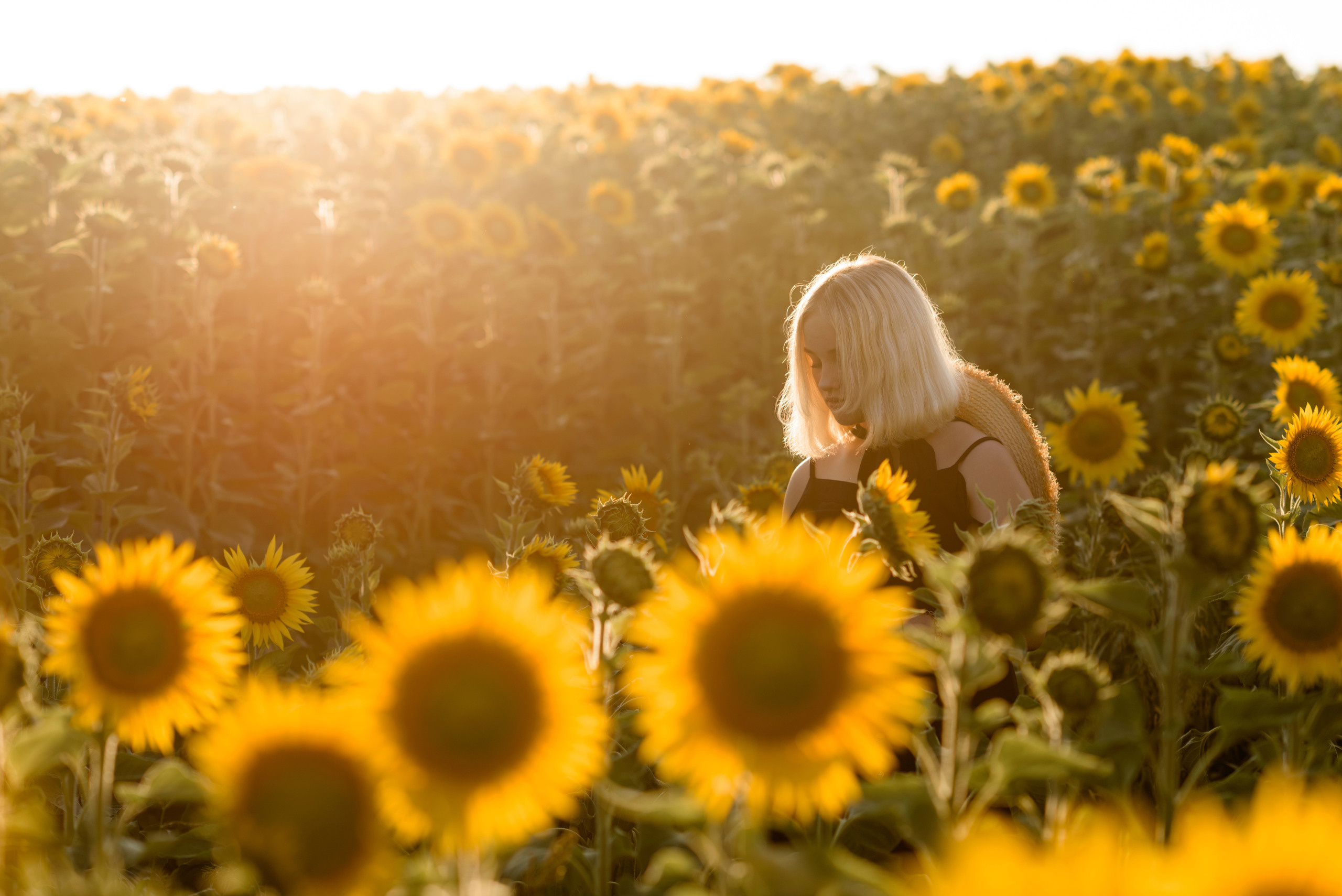 Фотосессия в подсолнухах. Профессиональный фотограф. Портрет, семья, дети