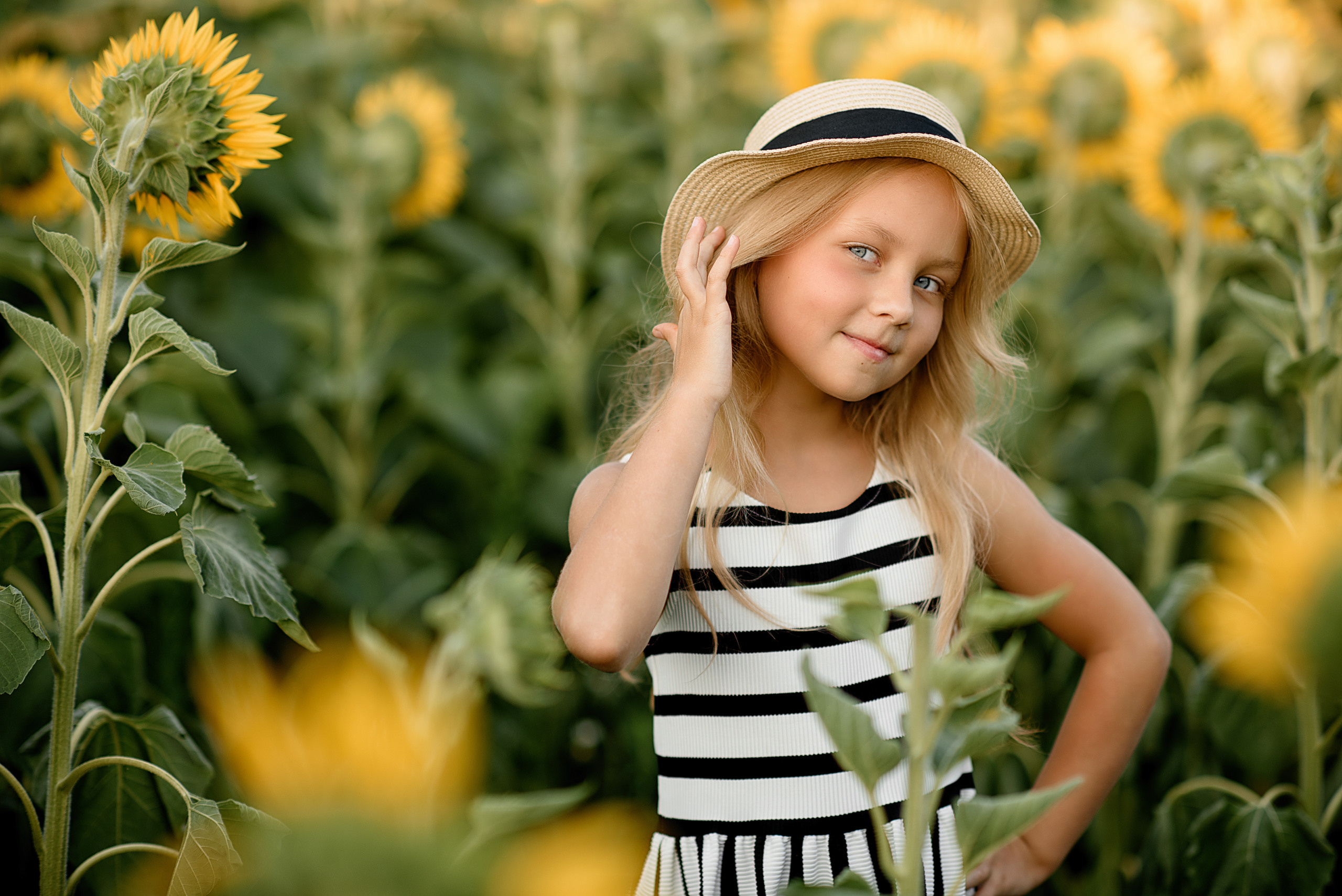 Фотосессия в подсолнухах. Профессиональный фотограф. Портрет, семья, дети