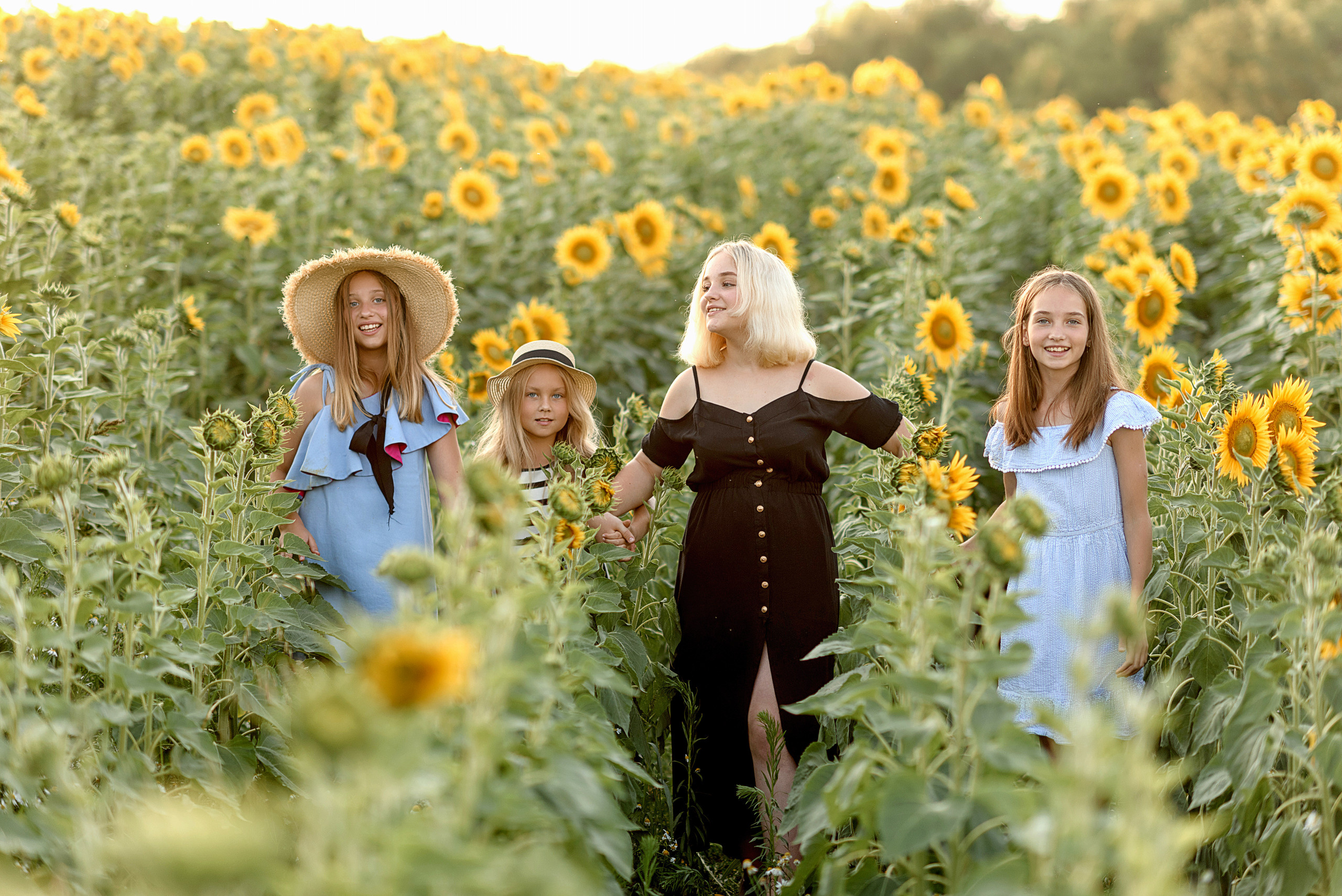 Фотосессия в подсолнухах. Профессиональный фотограф. Портрет, семья, дети