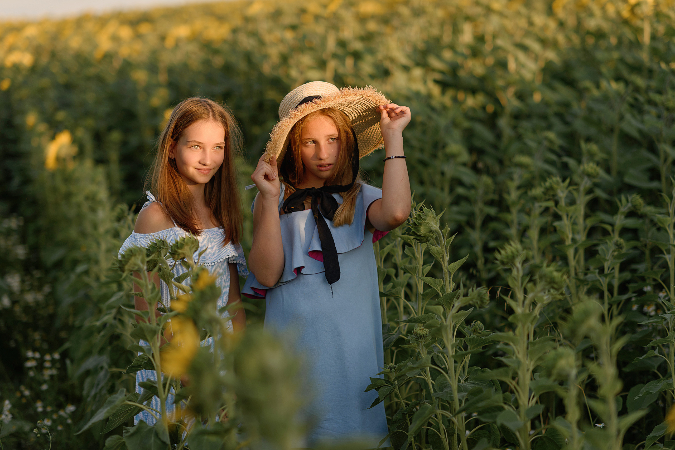 Фотосессия в подсолнухах. Профессиональный фотограф. Портрет, семья, дети
