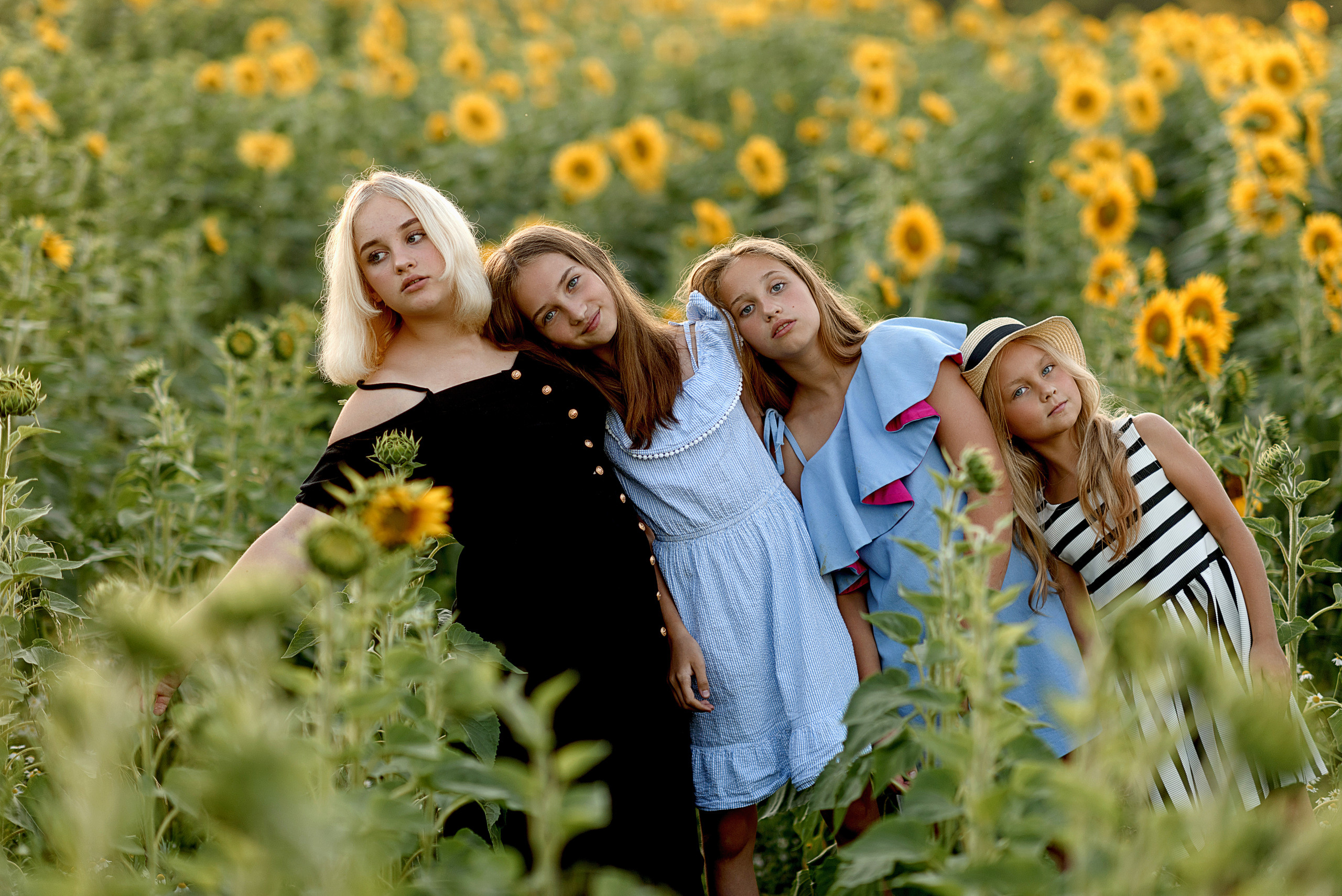 Фотосессия в подсолнухах. Профессиональный фотограф. Портрет, семья, дети